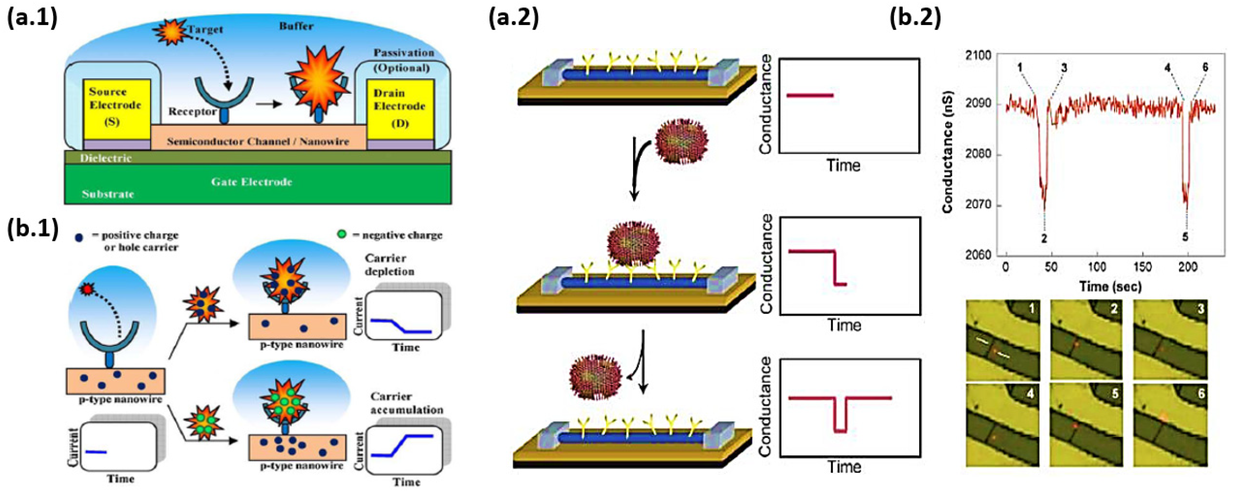 Nanomaterials 12 01043 g044