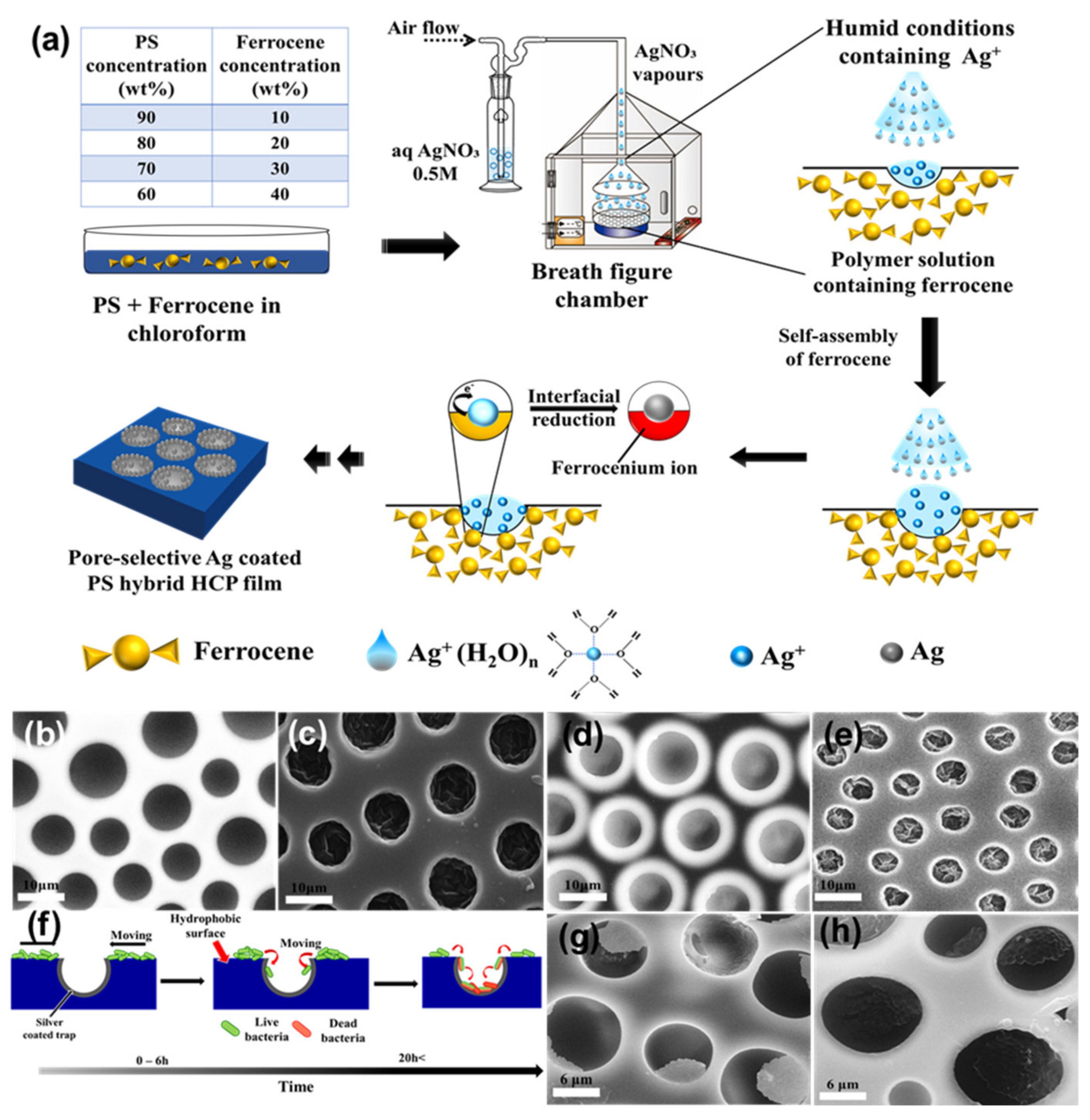 Nanomaterials 12 01055 g020