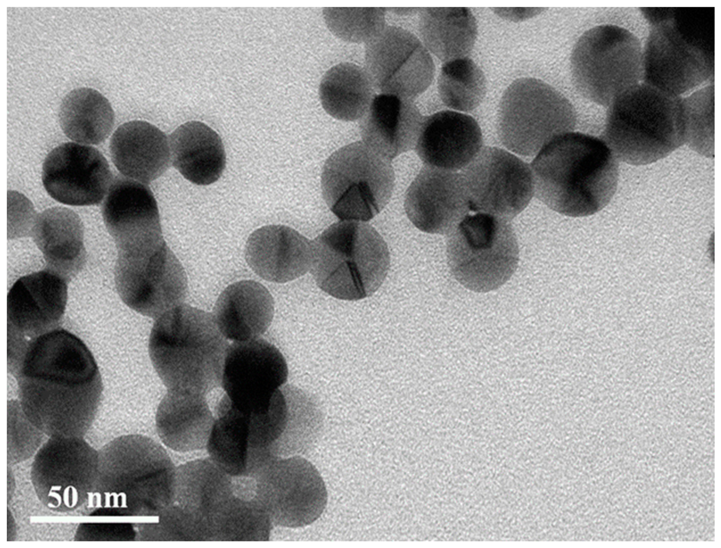 Nanomaterials 12 01062 g006