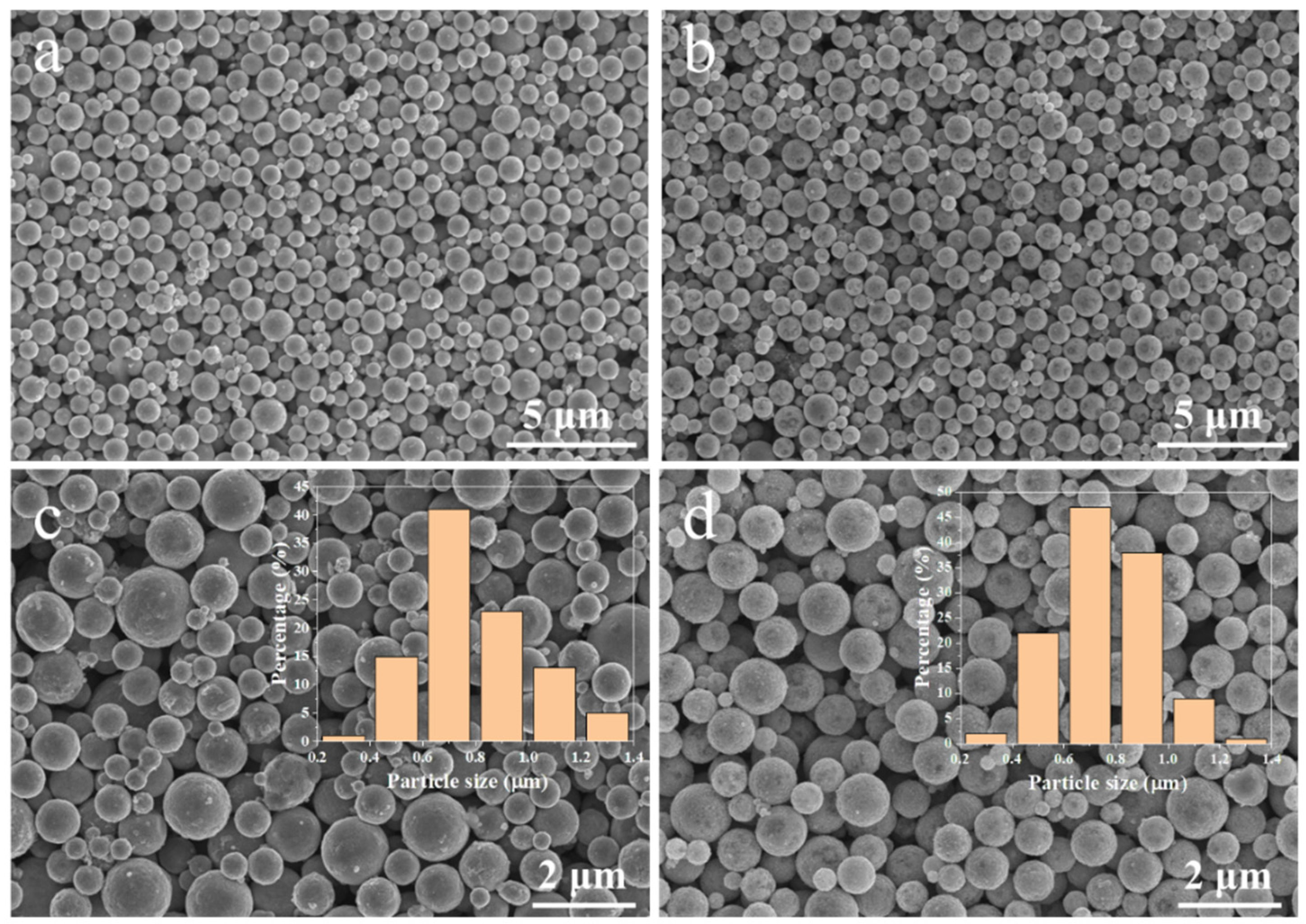 Nanomaterials 12 01063 g004