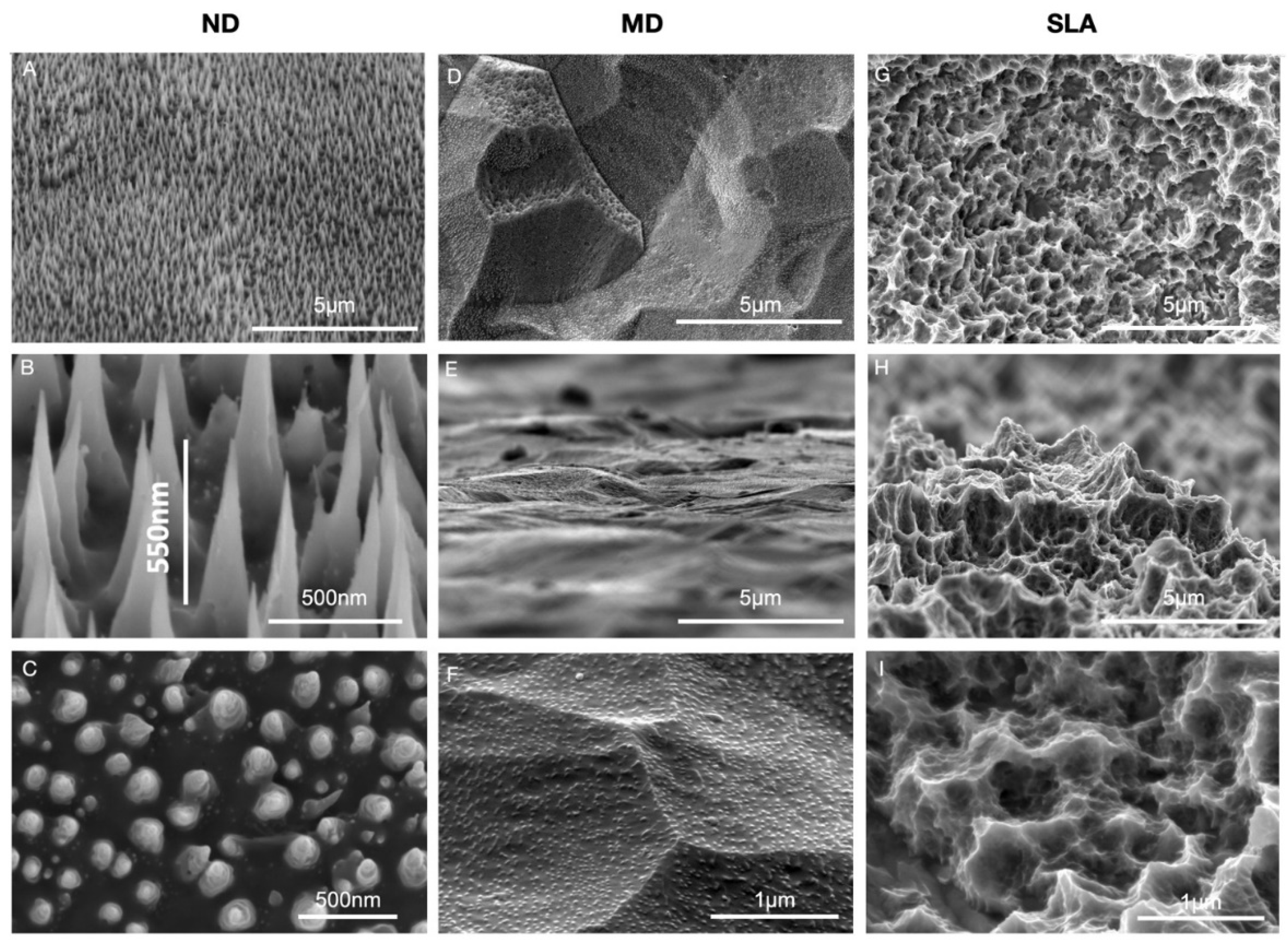 Nanomaterials 12 01065 g001