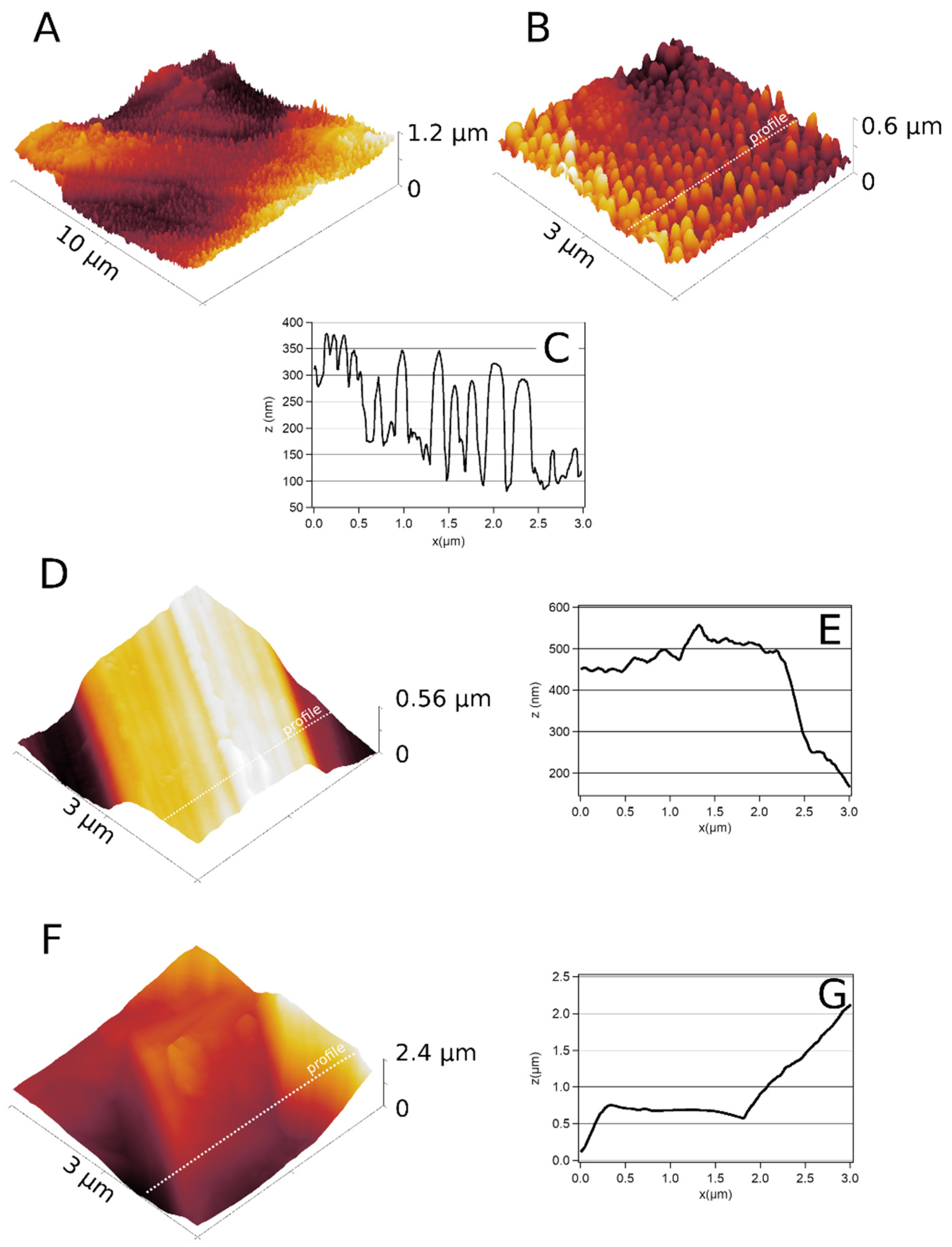 Nanomaterials 12 01065 g002