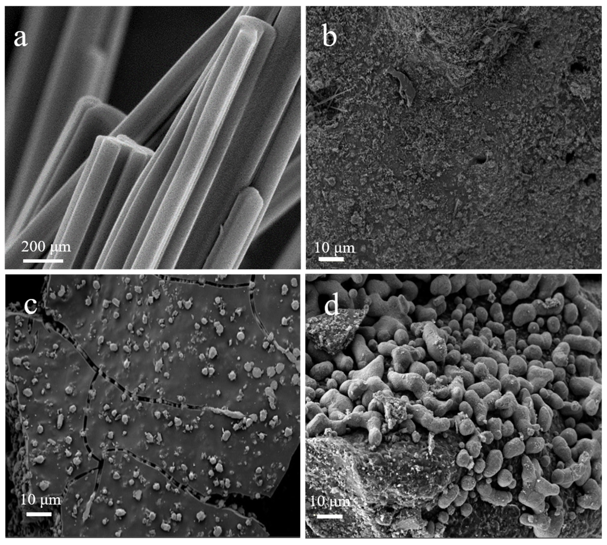 Nanomaterials 12 01070 g002