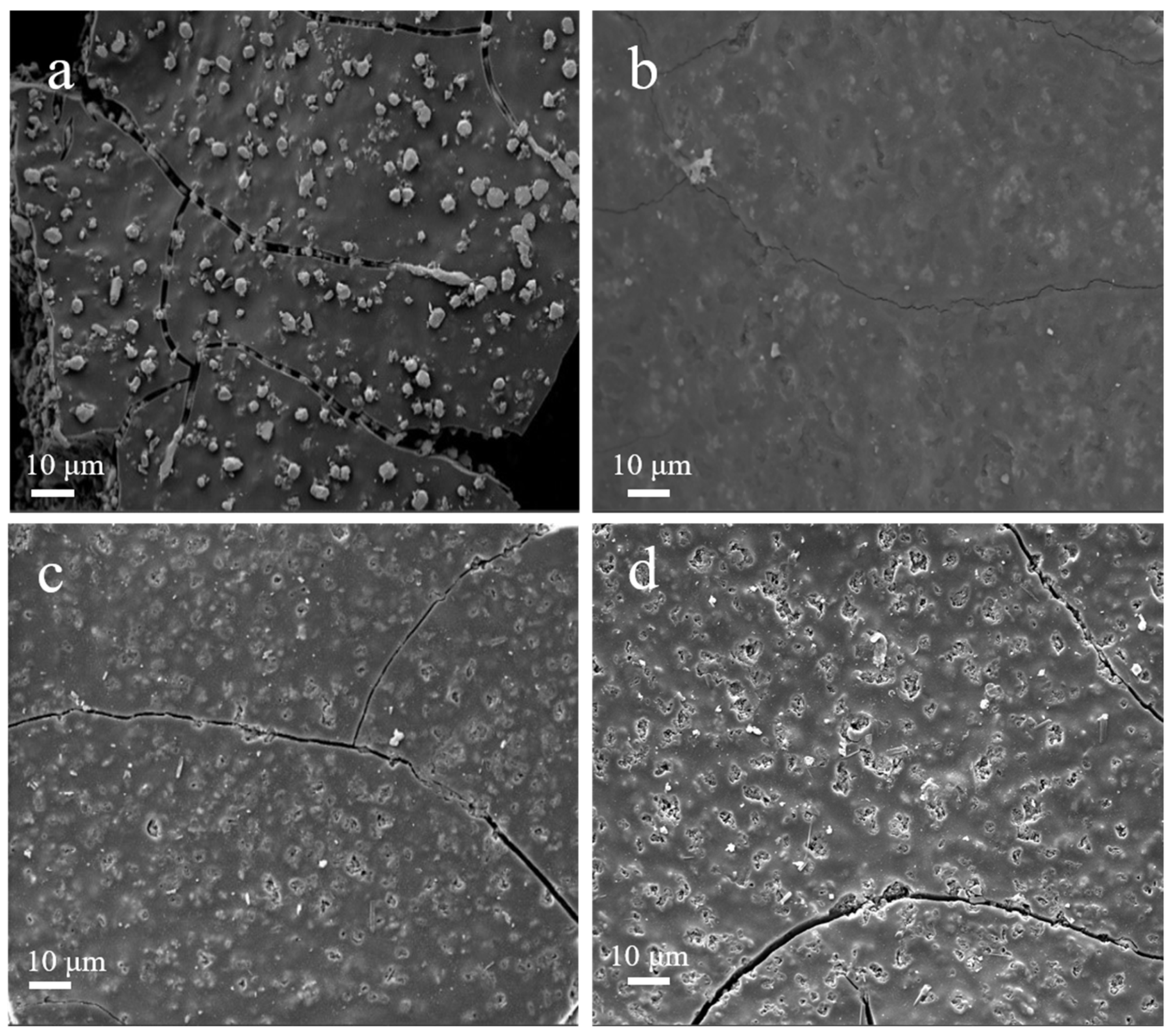 Nanomaterials 12 01070 g006