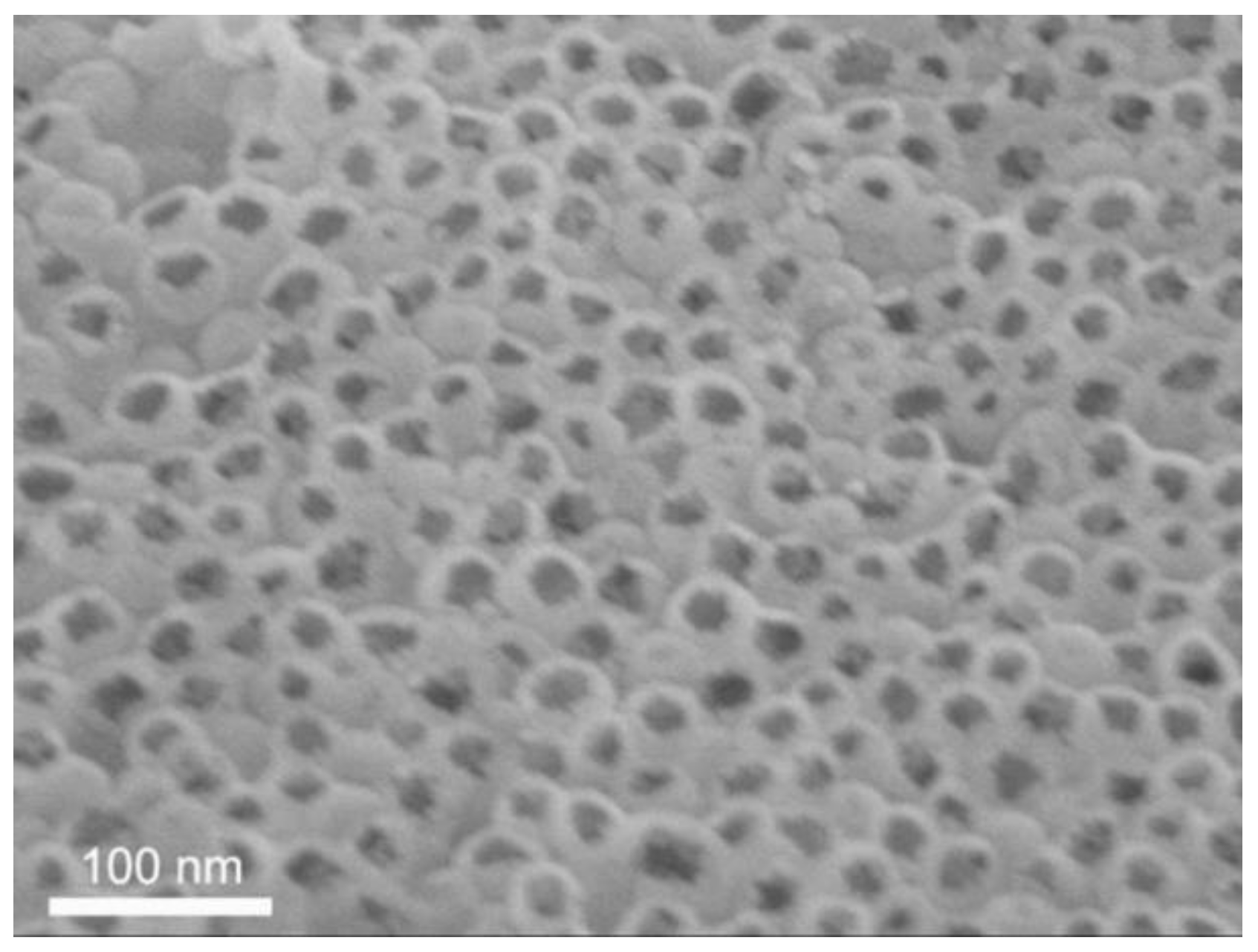 Nanomaterials 12 01106 g010
