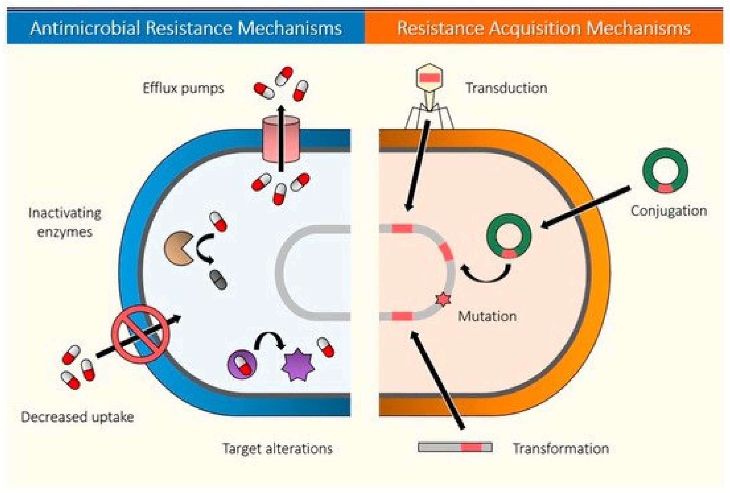 Binding Force and Site-Determined Desorption and Fragmentation of  Antibiotic Resistance Genes from Metallic Nanomaterials