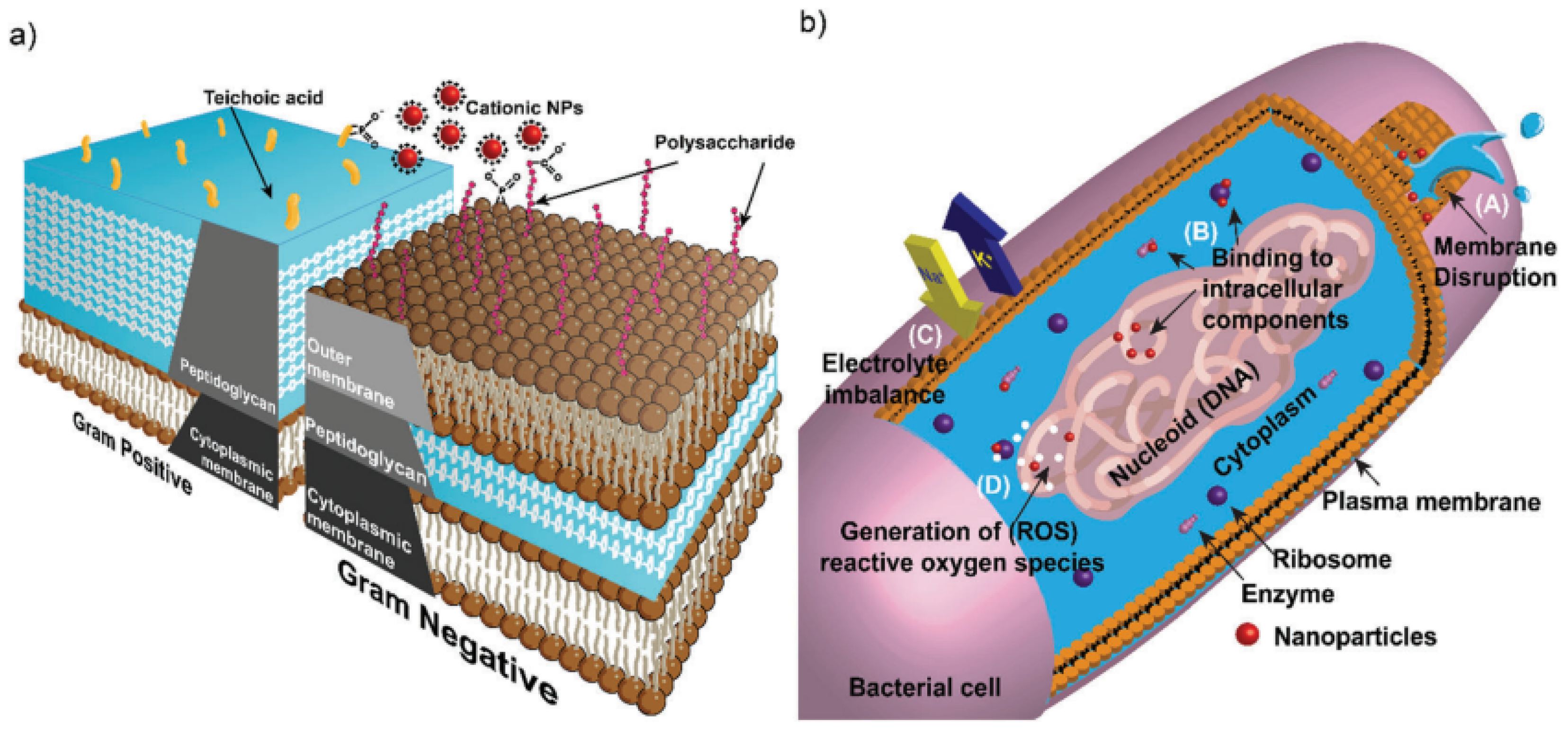 Nanomaterials 12 01129 g004