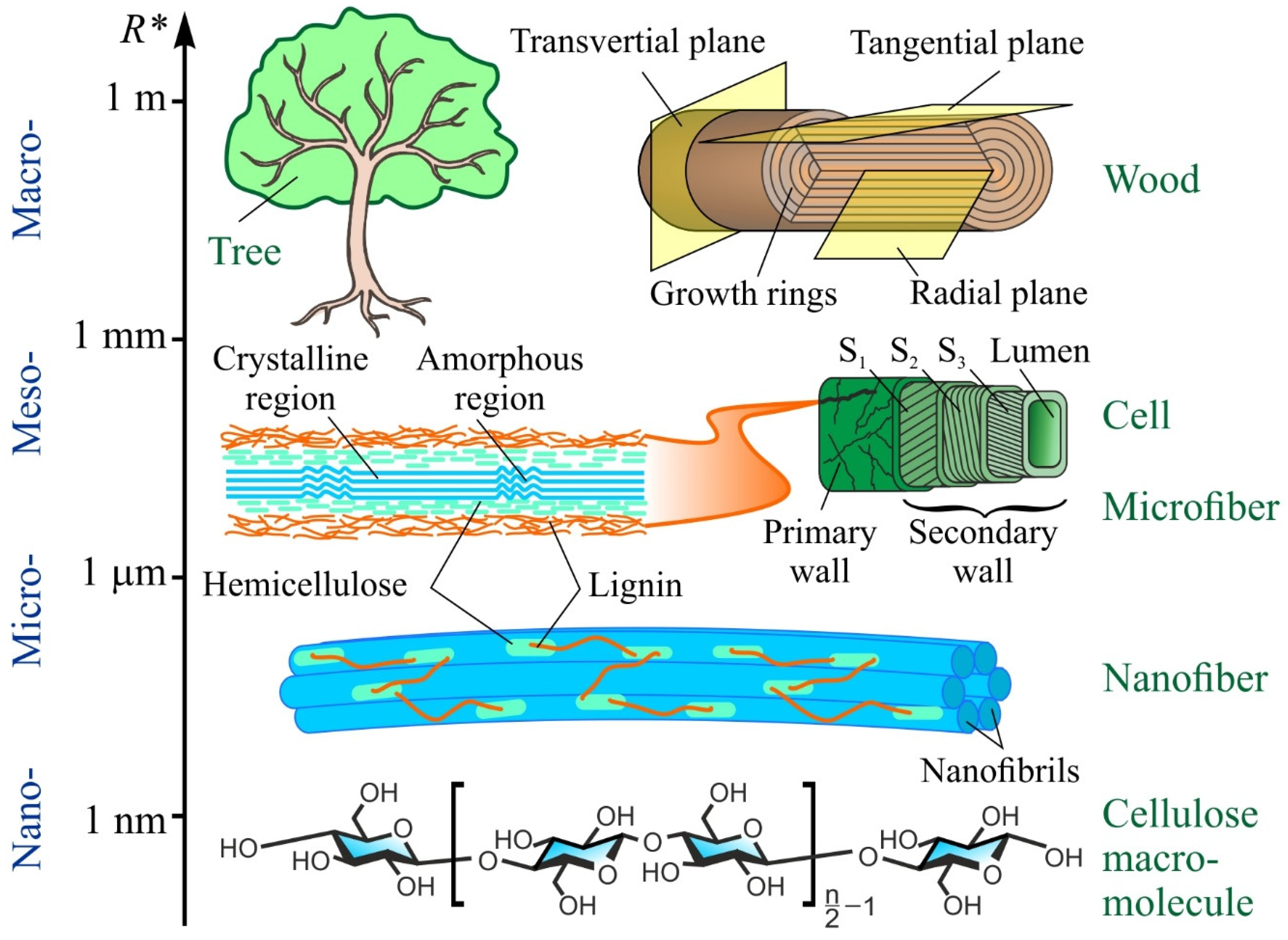 From Nano to Macro: Multiscale Materials for Improved Stem Cell