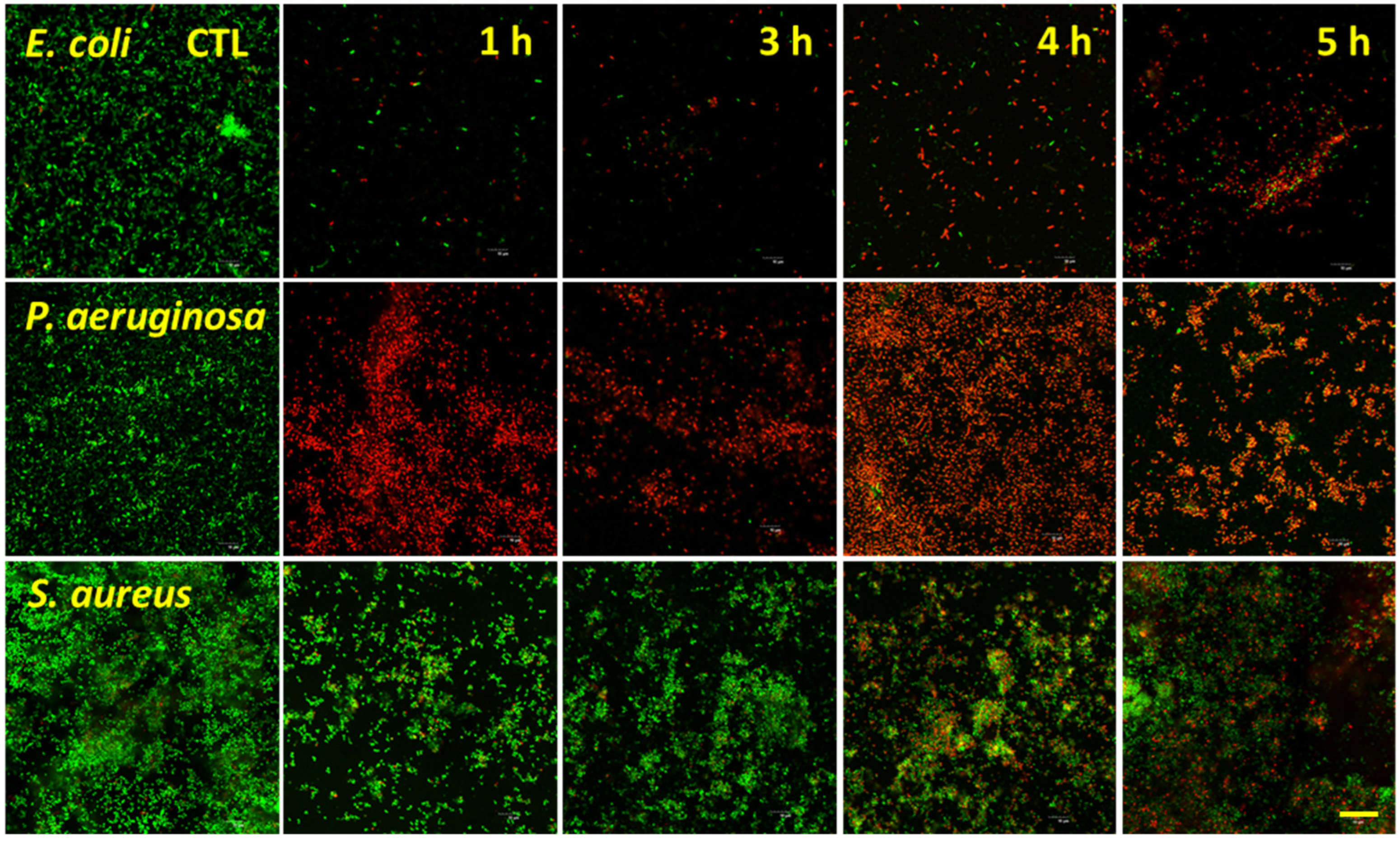 Nanomaterials 12 01140 g005