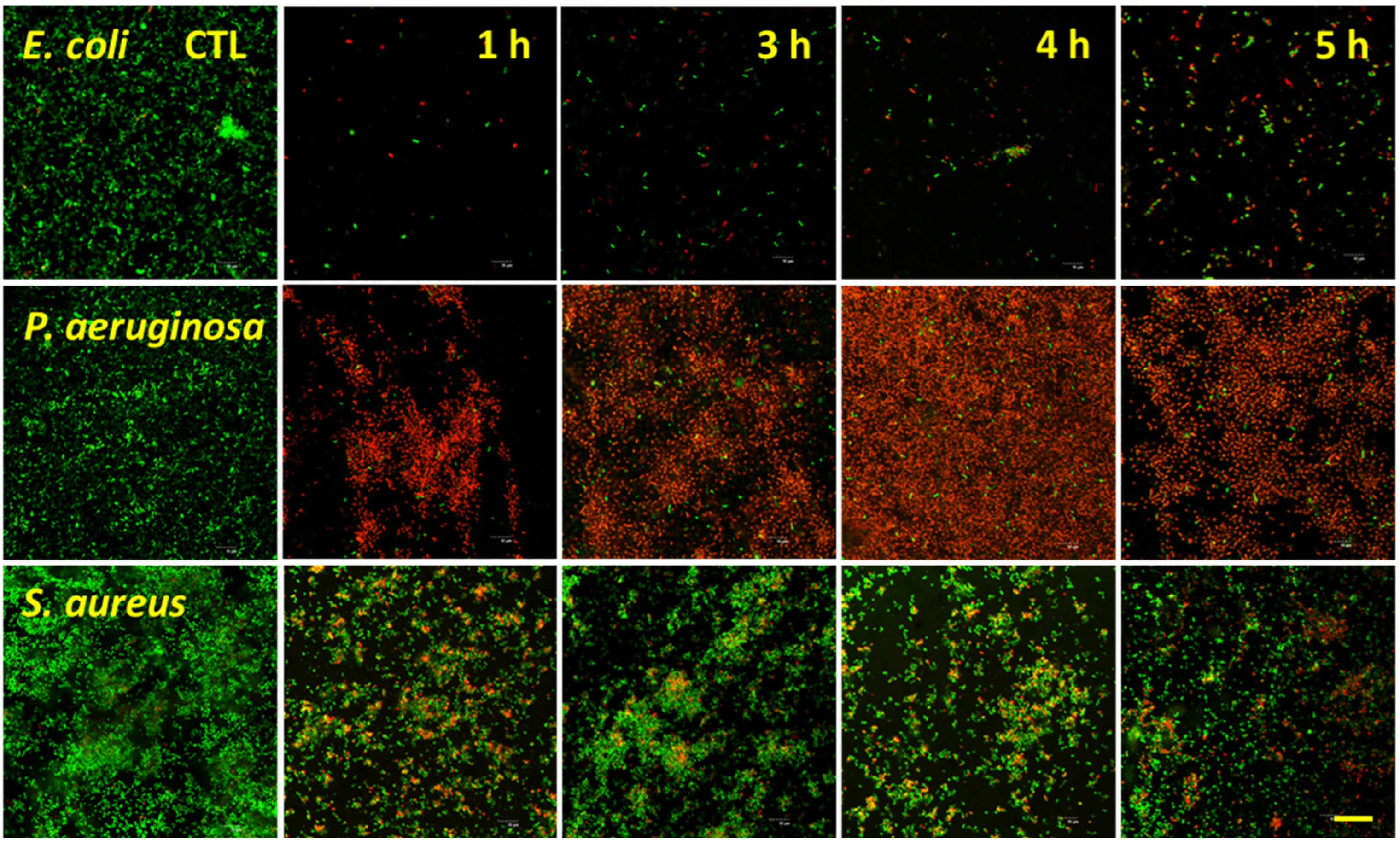 Nanomaterials 12 01140 g006