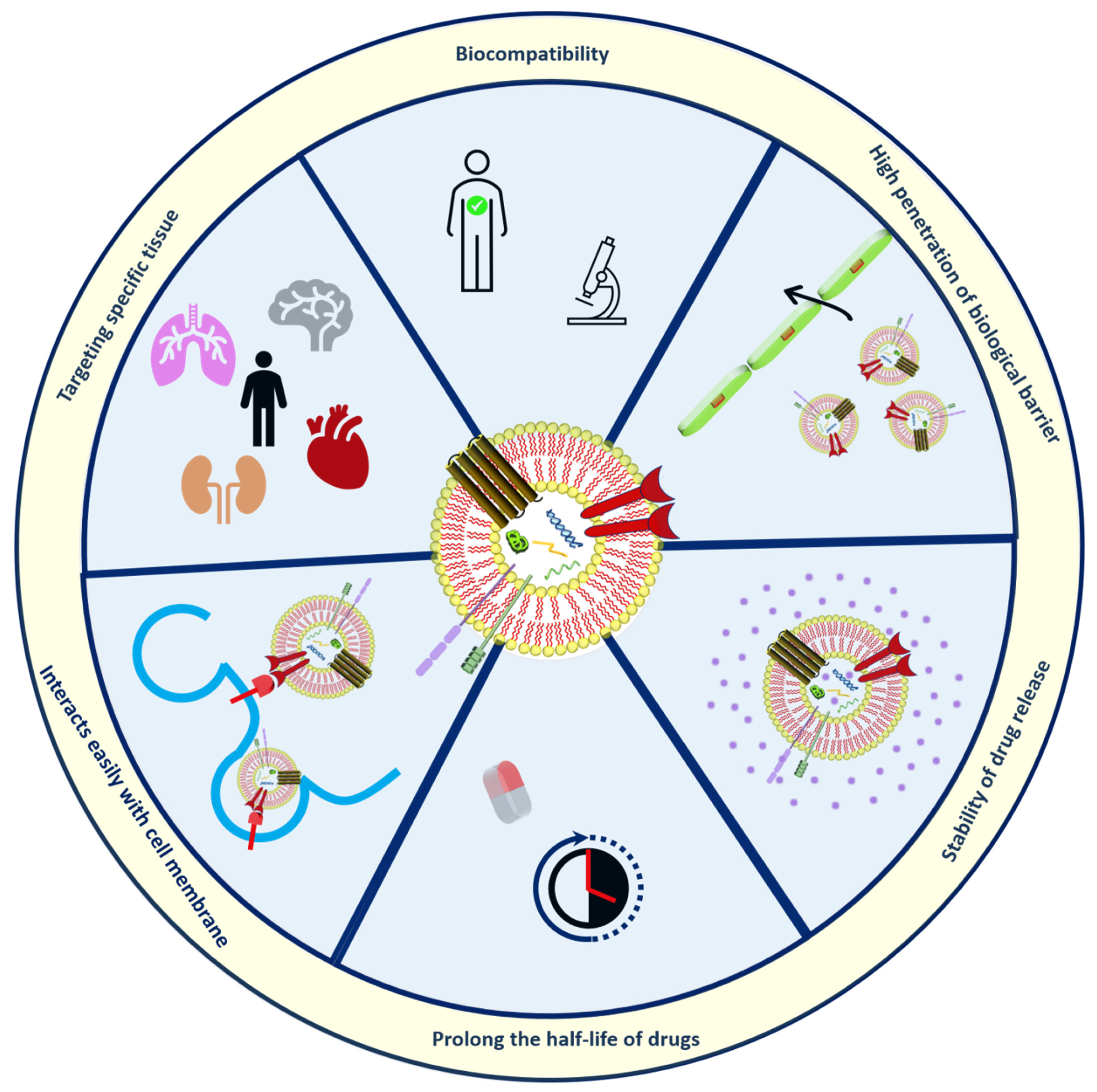 Nanomaterials 12 01146 g003 Nanomaterials 12 01146 g003