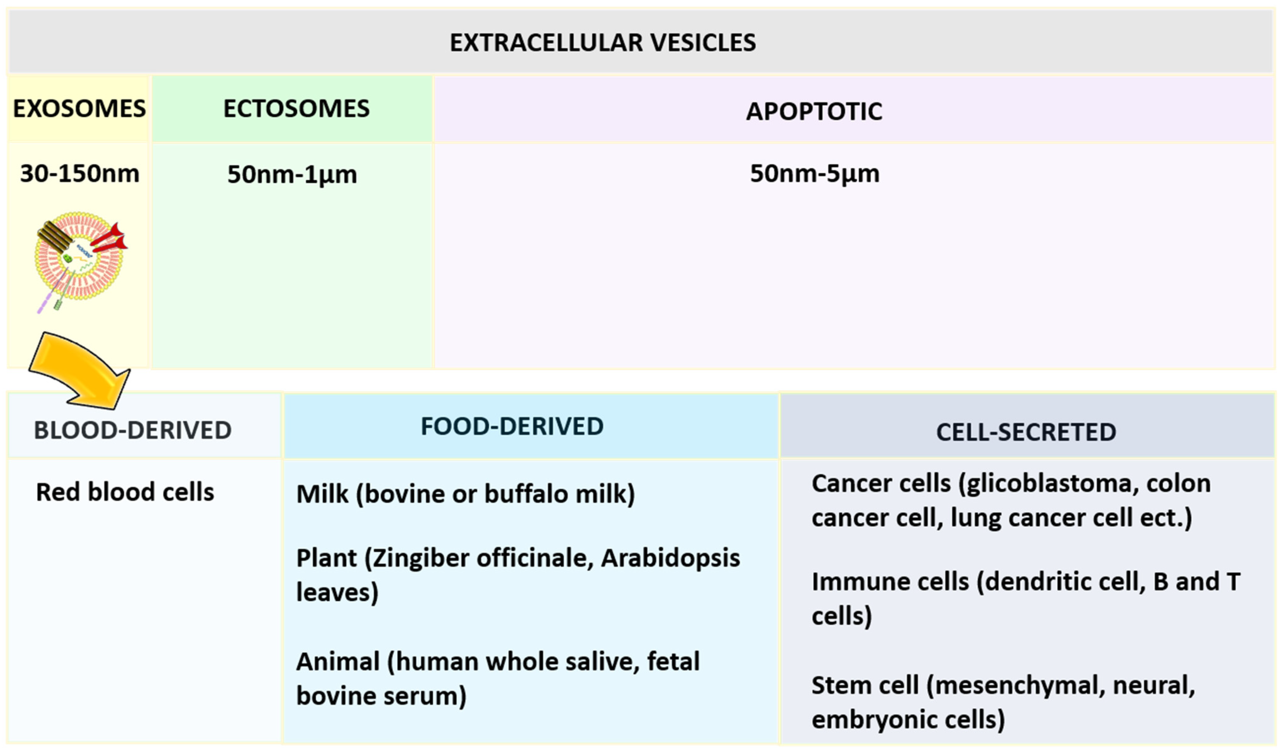 Nanomaterials 12 01146 g004 Nanomaterials 12 01146 g004
