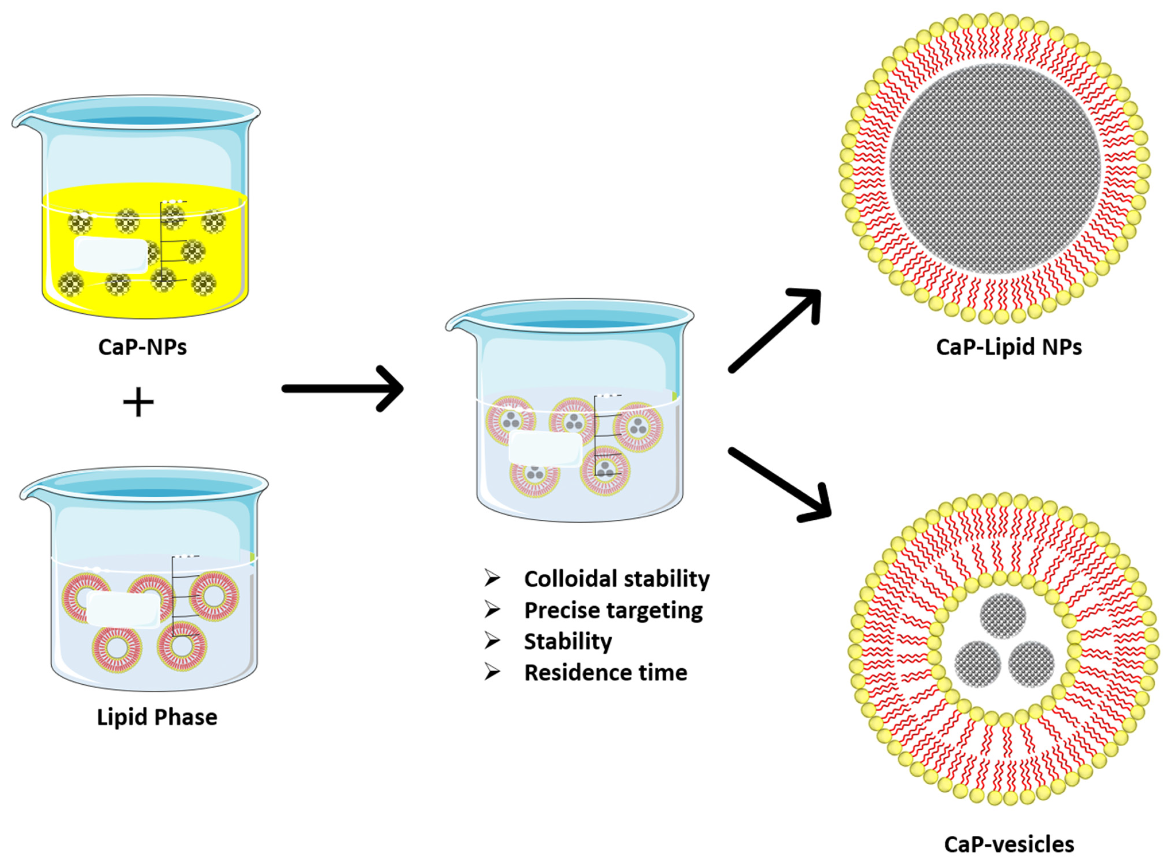 Nanomaterials 12 01146 g005 Nanomaterials 12 01146 g005