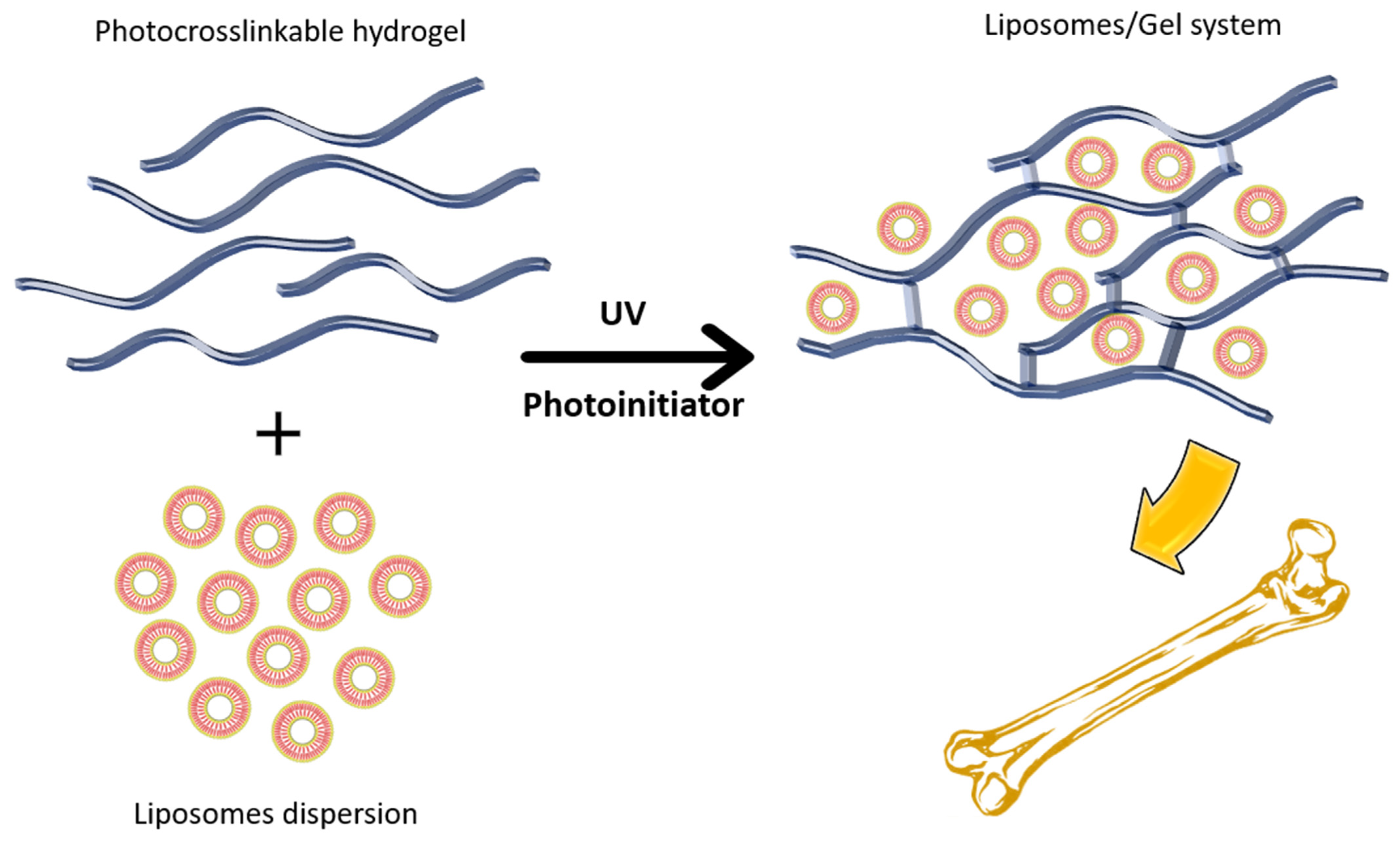 Nanomaterials 12 01146 g006 Nanomaterials 12 01146 g006