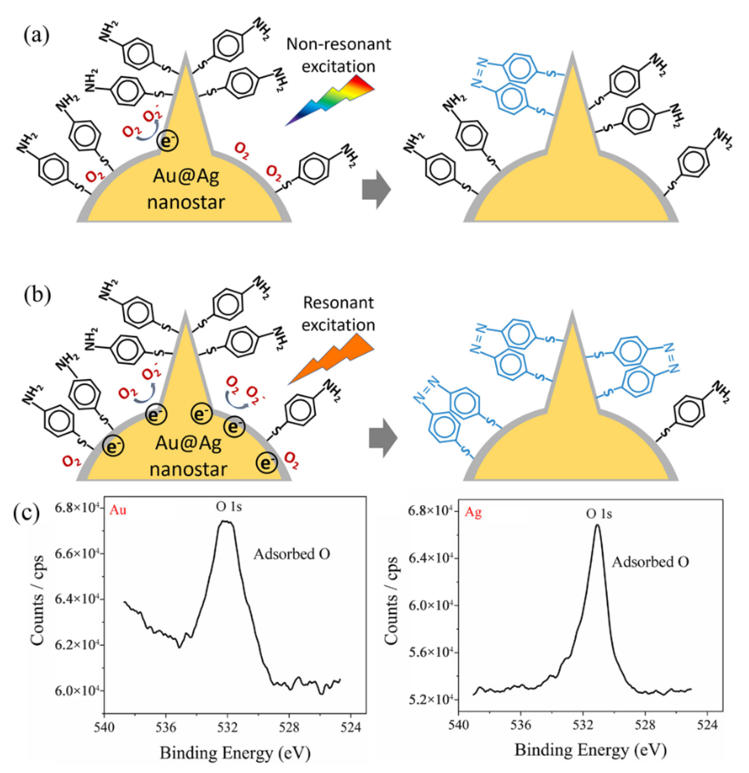 Nanomaterials 12 01156 g007