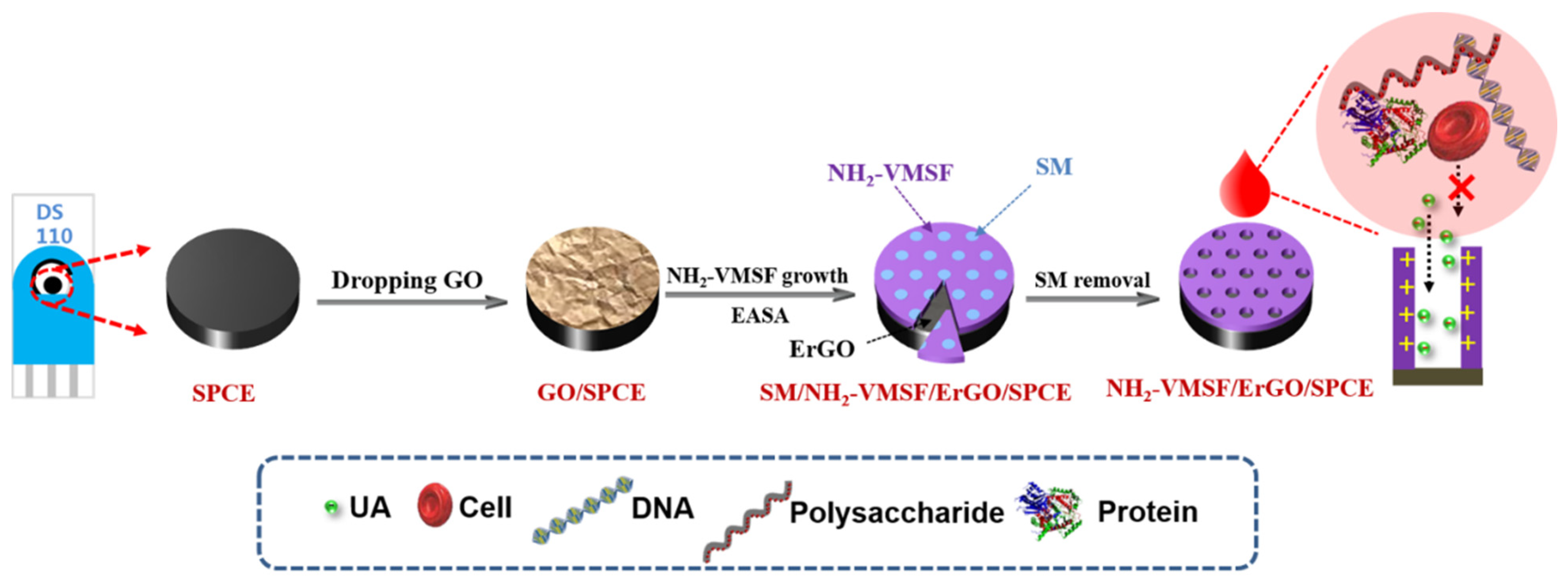 Nanomaterials 12 01157 g001