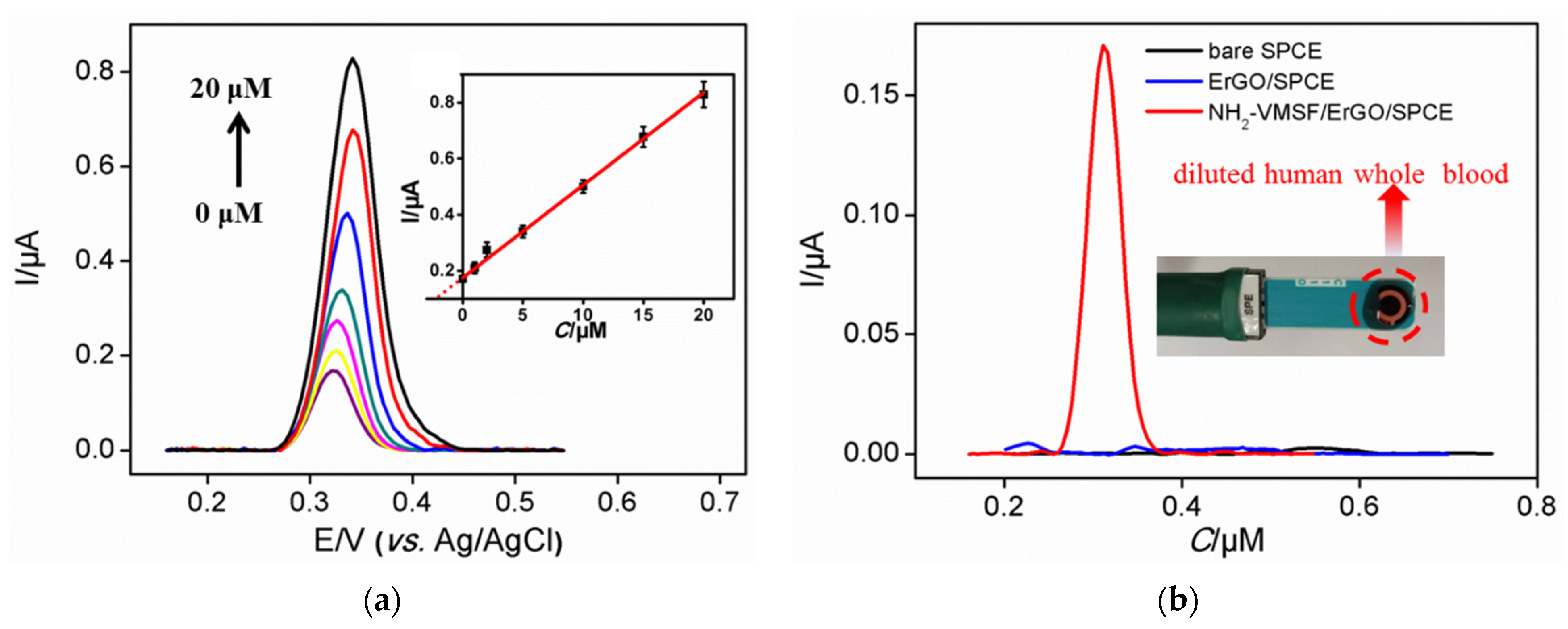 Nanomaterials 12 01157 g007