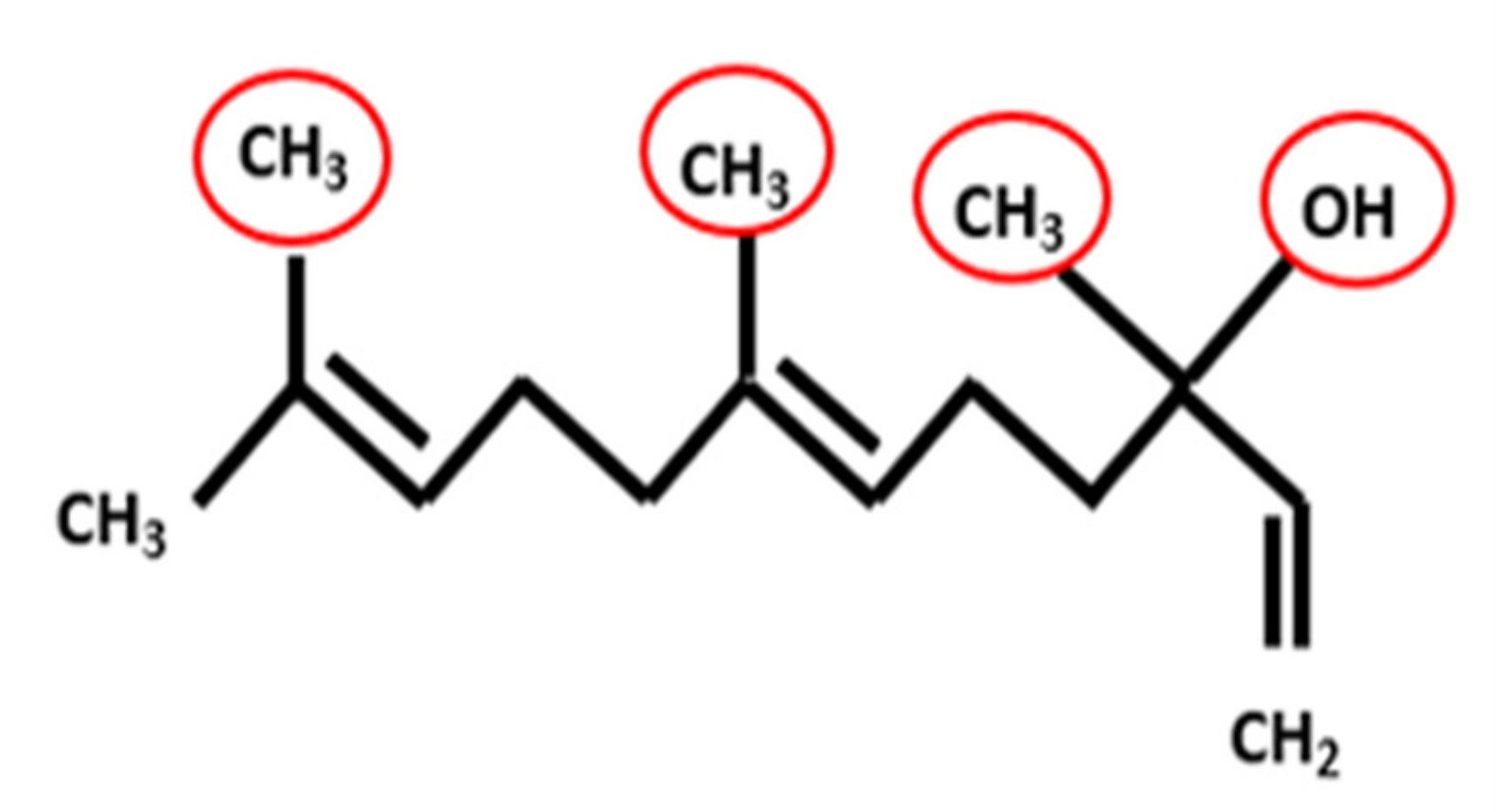 Nanomaterials 12 01183 g001