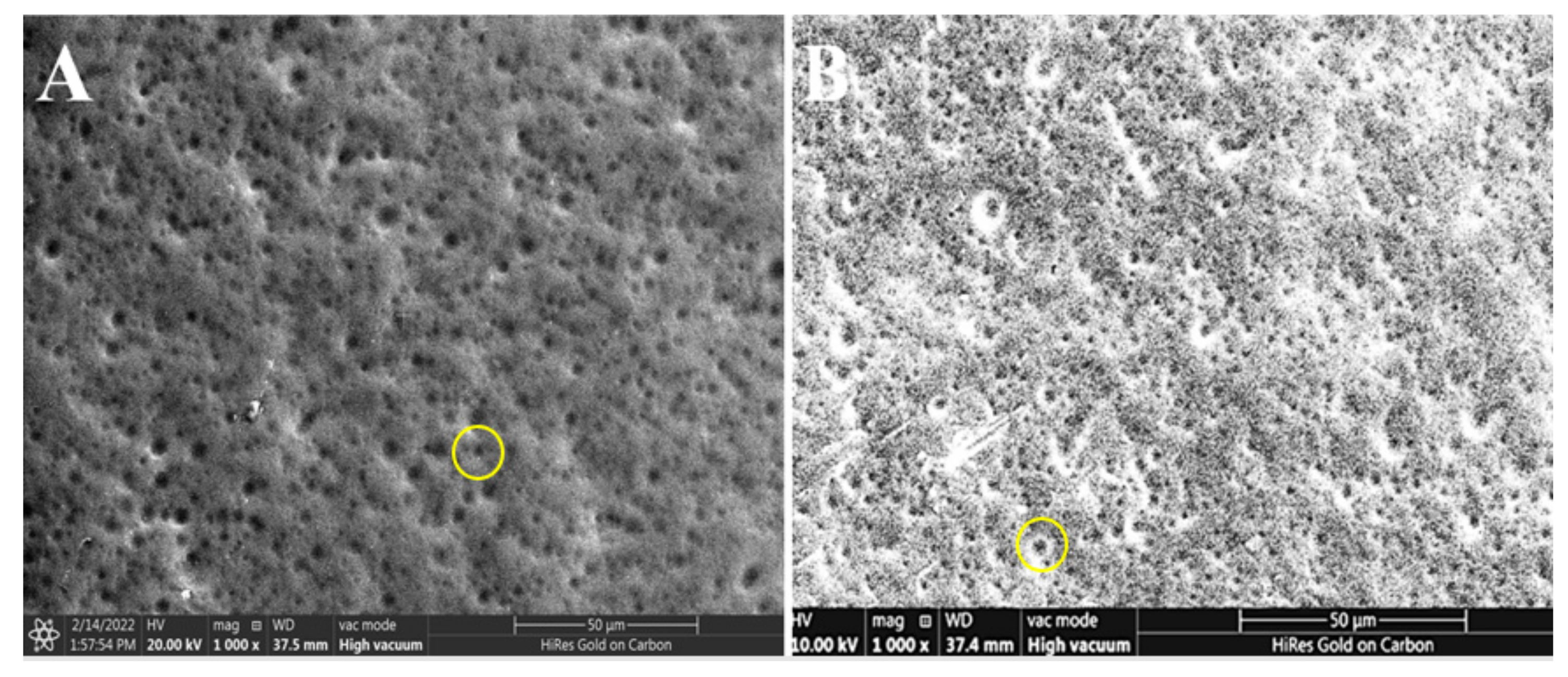 Nanomaterials 12 01183 g005