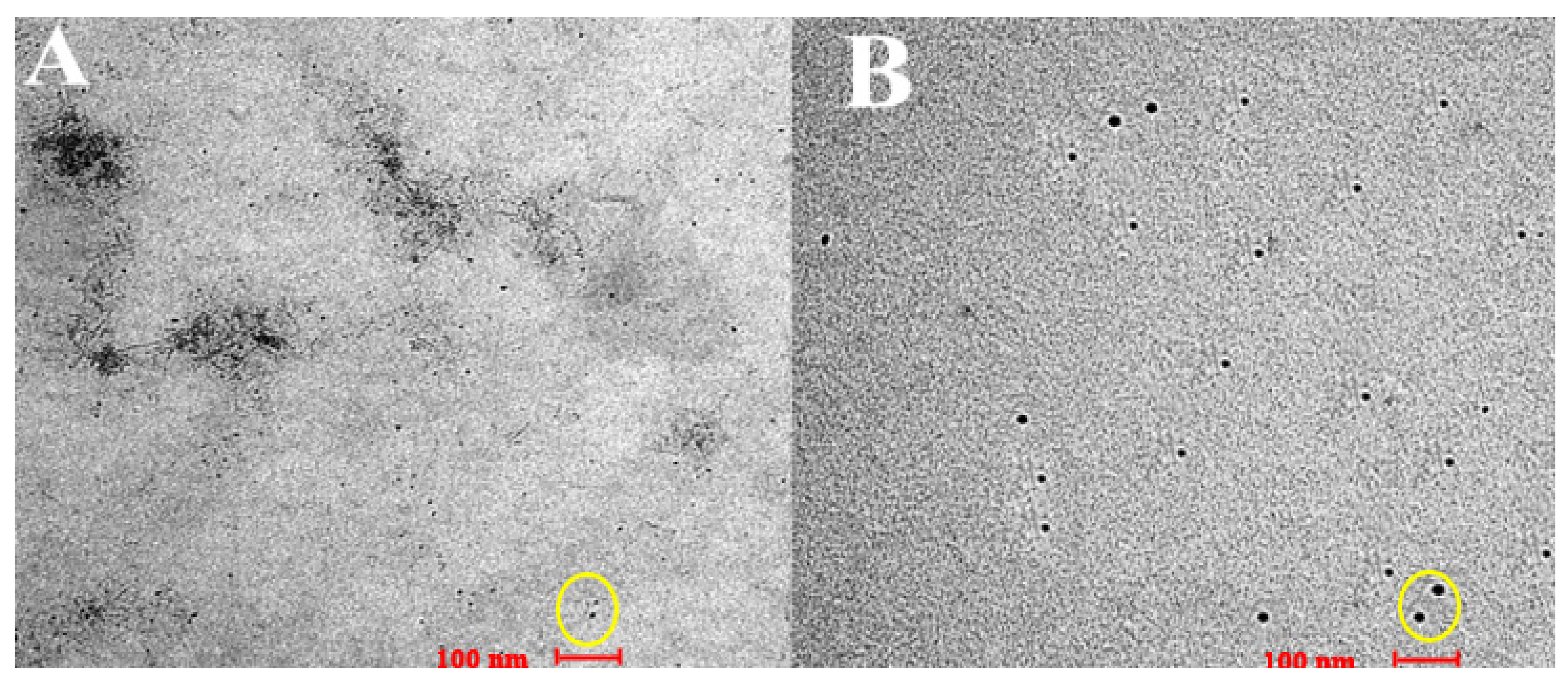 Nanomaterials 12 01183 g006