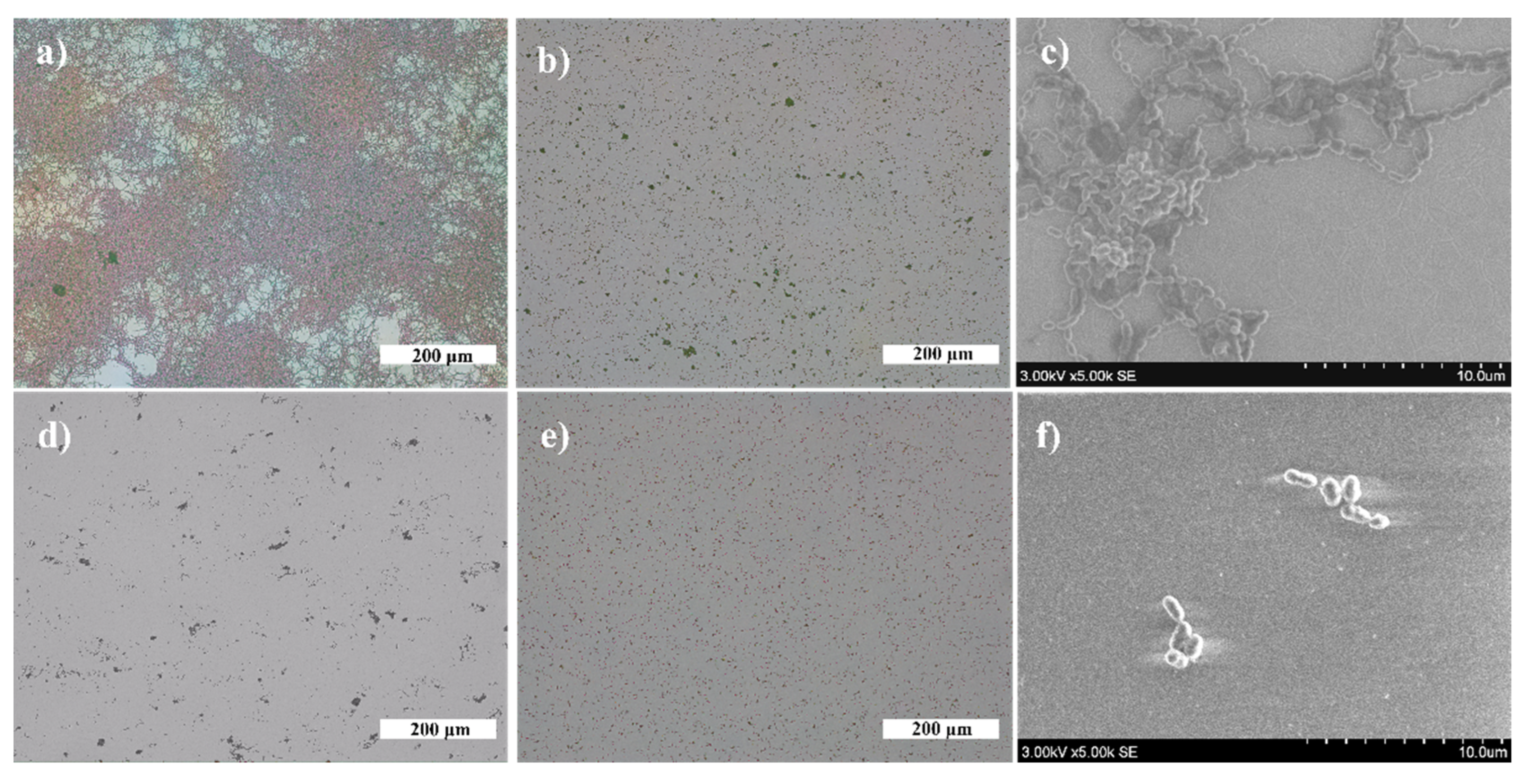 Nanomaterials 12 01190 g009