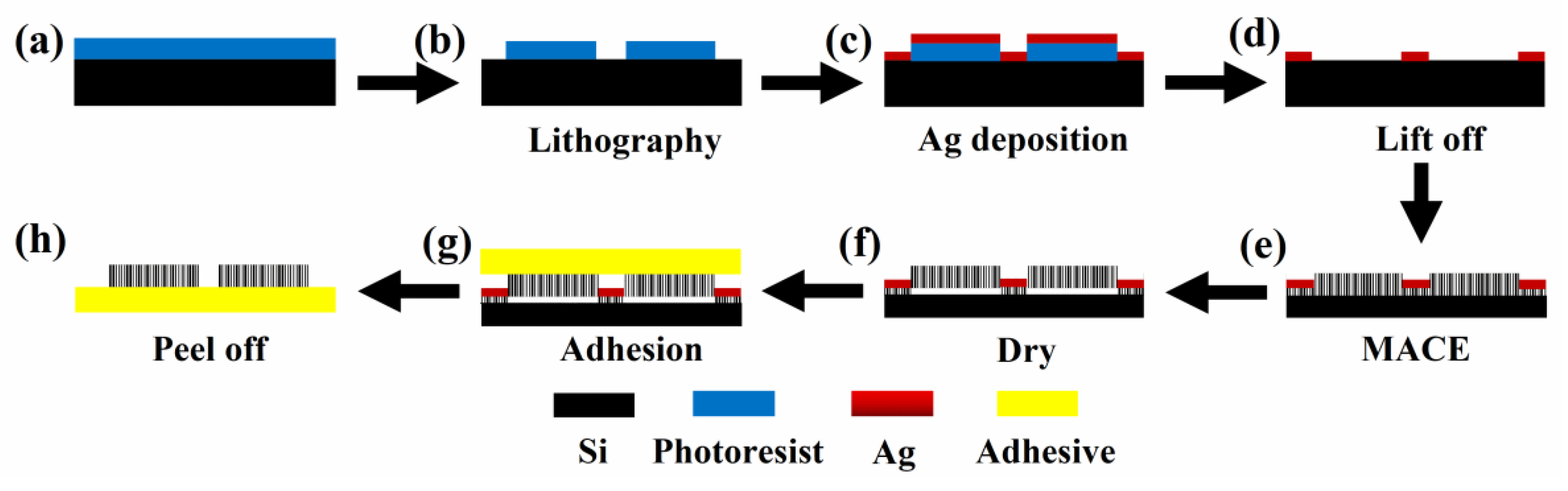 Nanomaterials 12 01191 g001