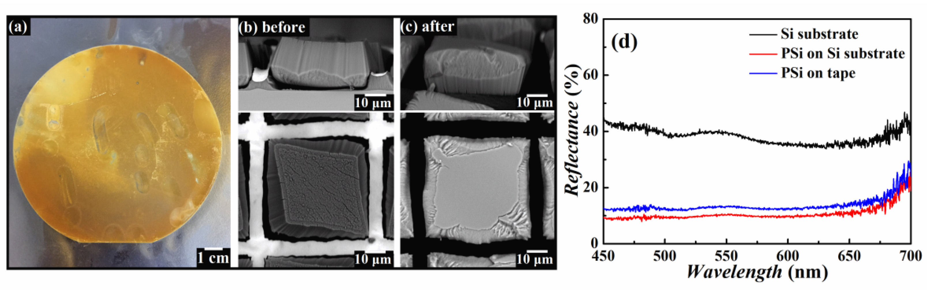 Nanomaterials 12 01191 g003