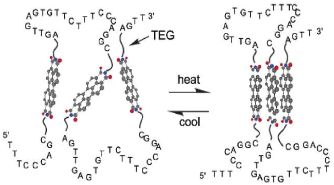 Nanomaterials 12 01223 g006