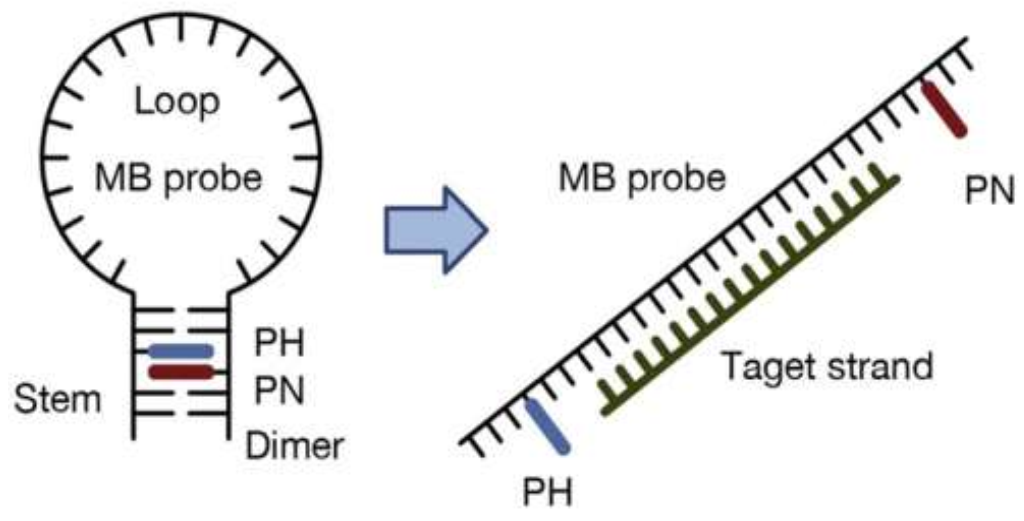 Nanomaterials 12 01223 g012