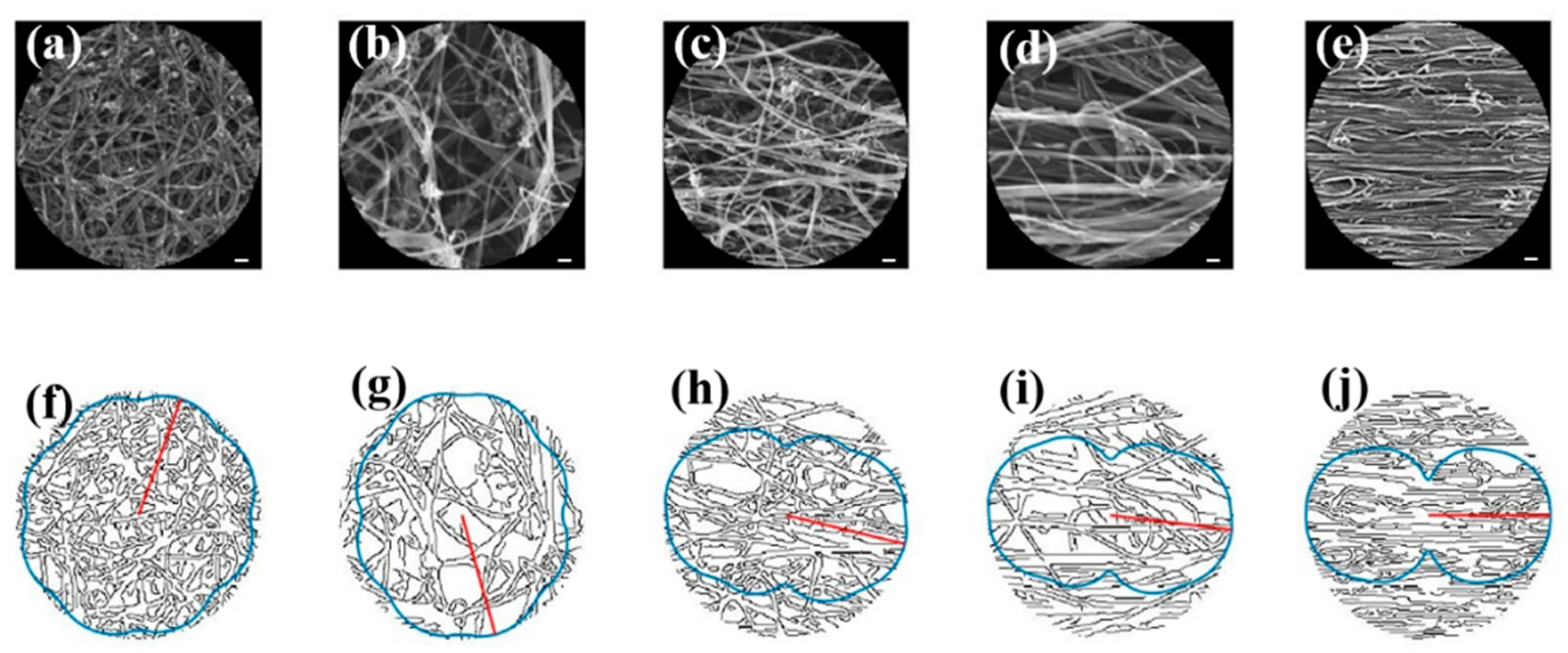 Nanomaterials 12 01251 g005