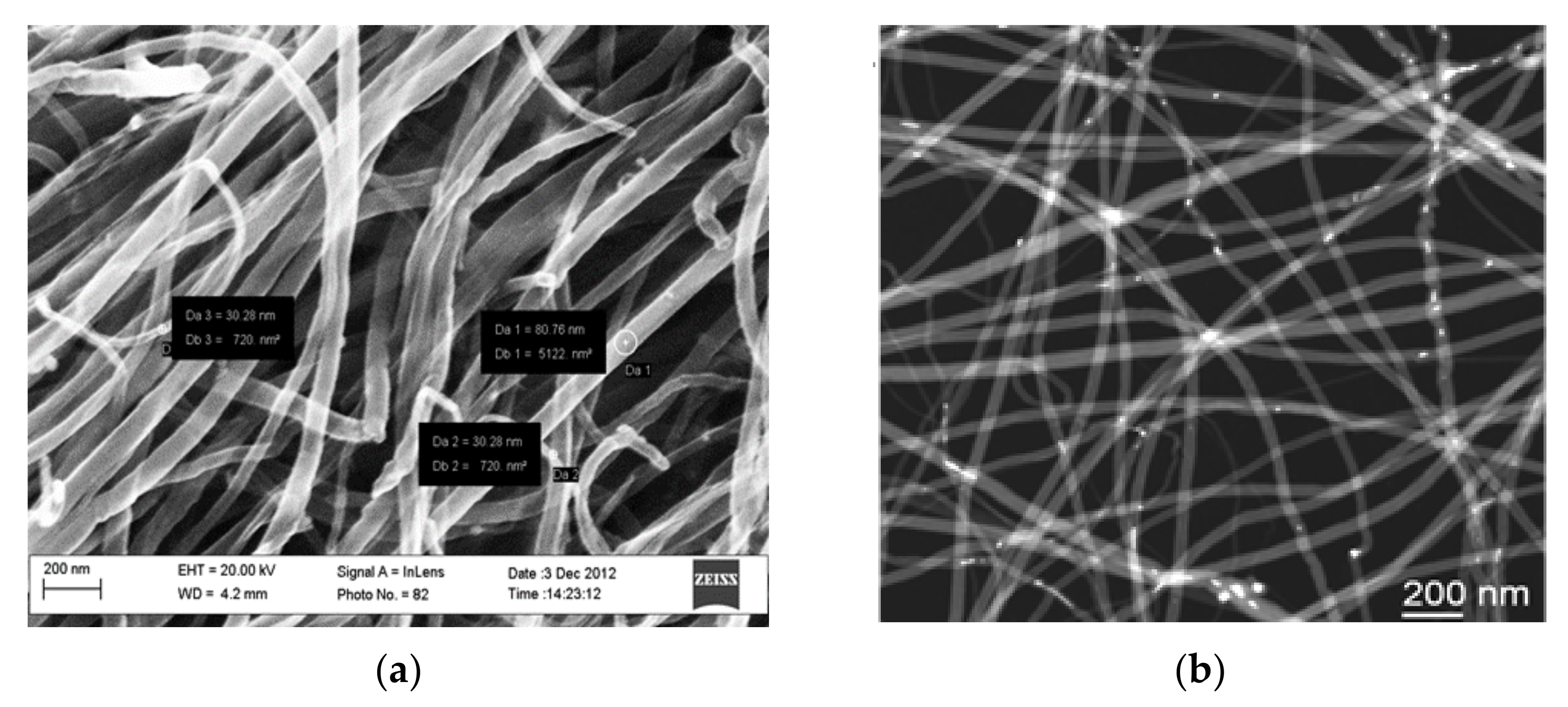 Nanomaterials 12 01278 g001