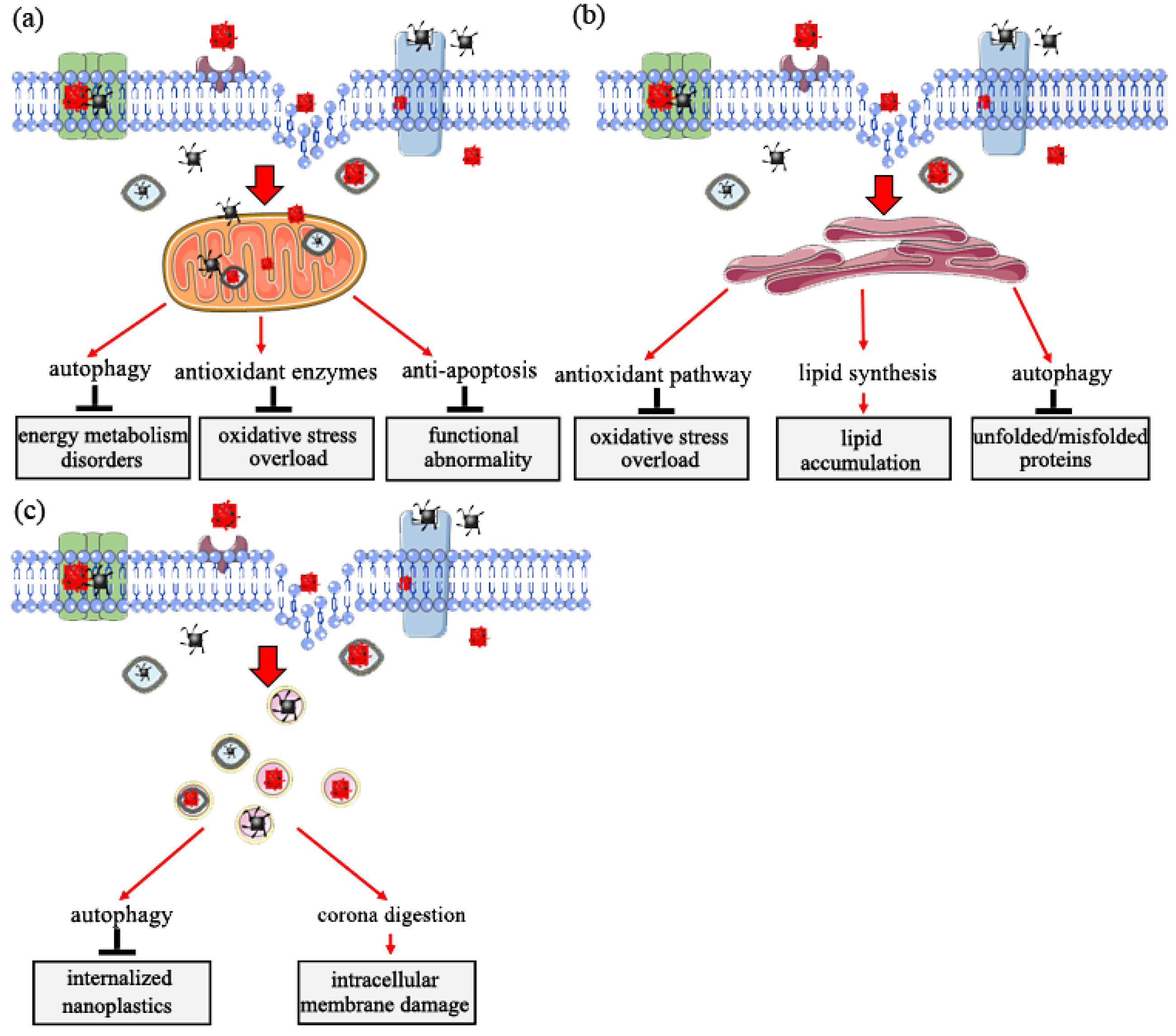 Nanomaterials 12 01298 g004