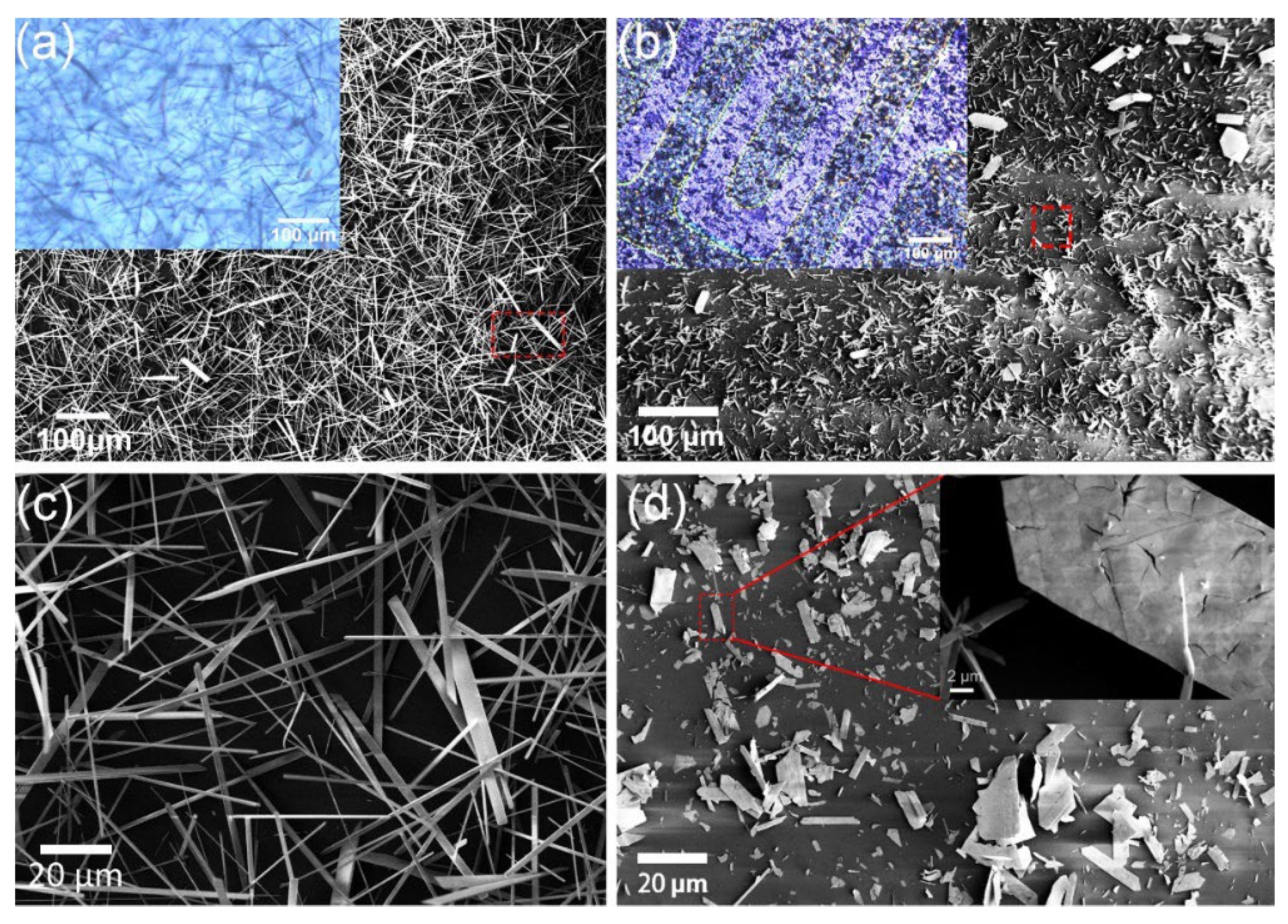 Nanomaterials 12 01303 g002