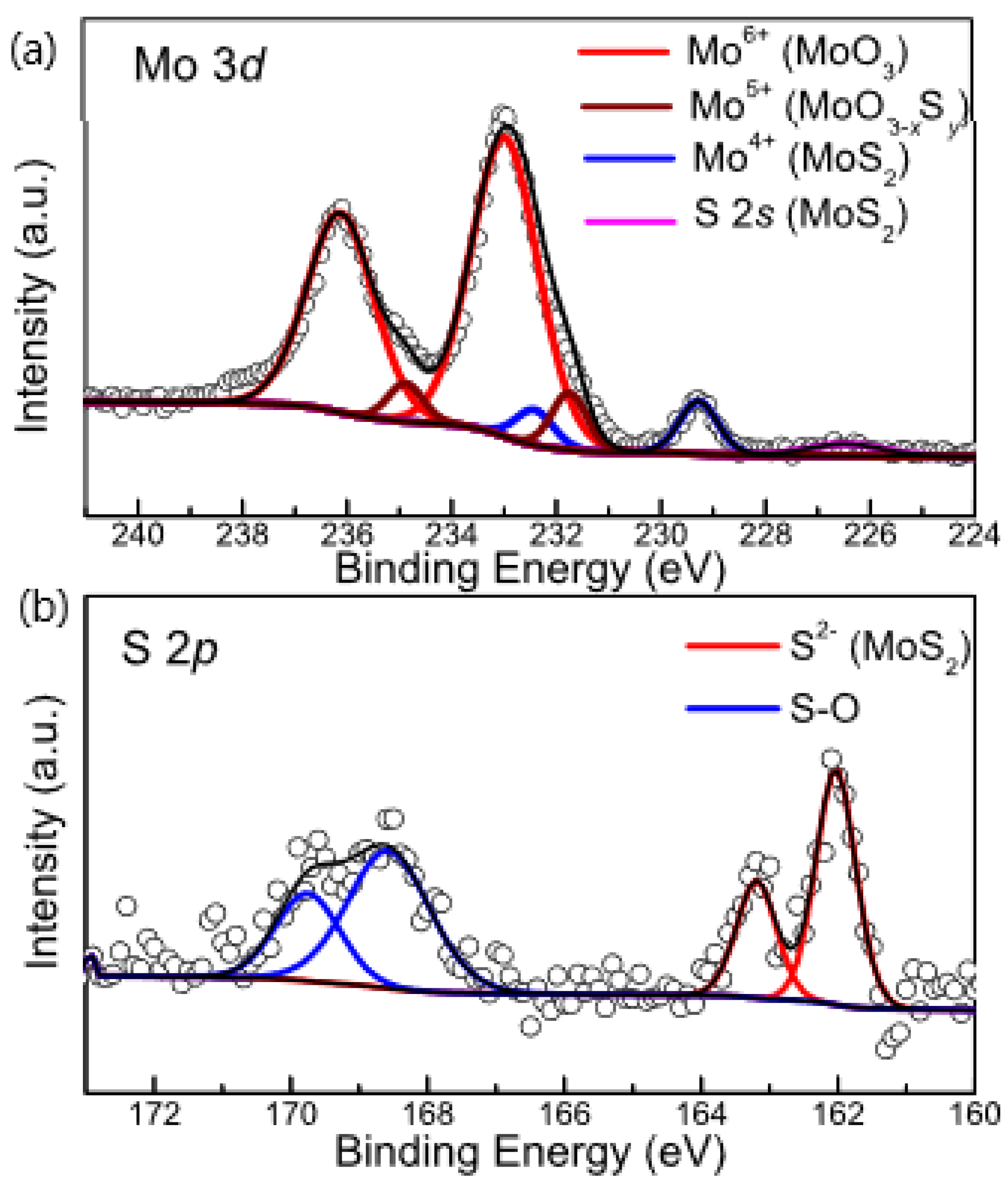 Nanomaterials 12 01303 g005