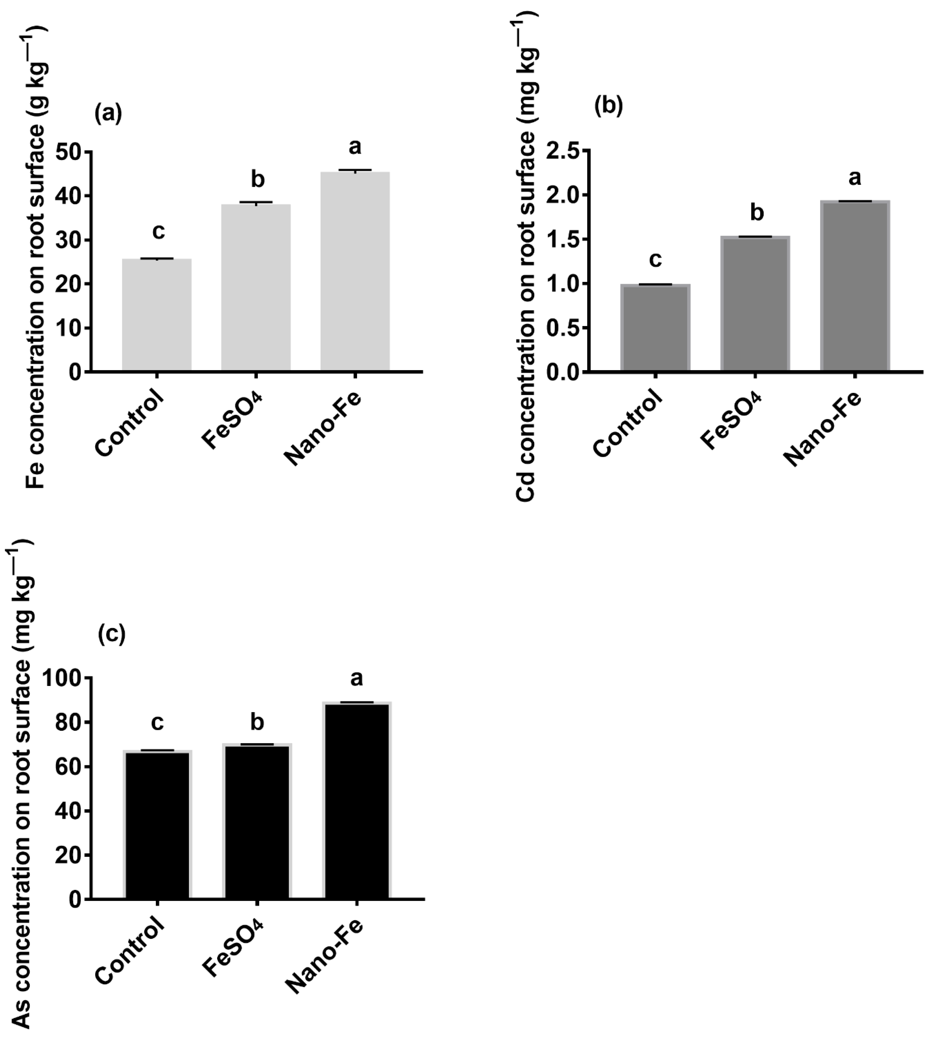 Nanomaterials 12 01311 g001