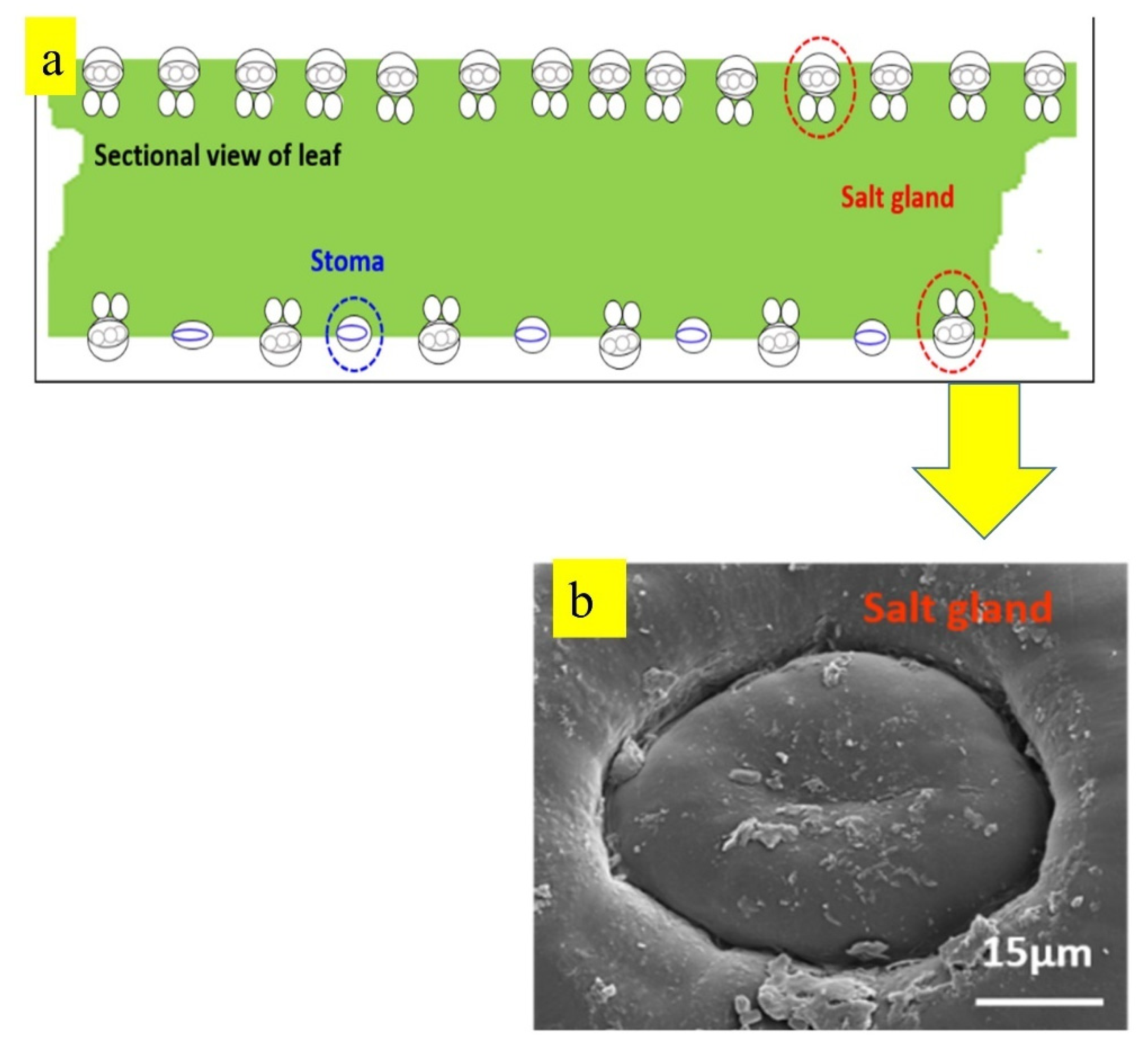 Nanomaterials 12 01323 g018