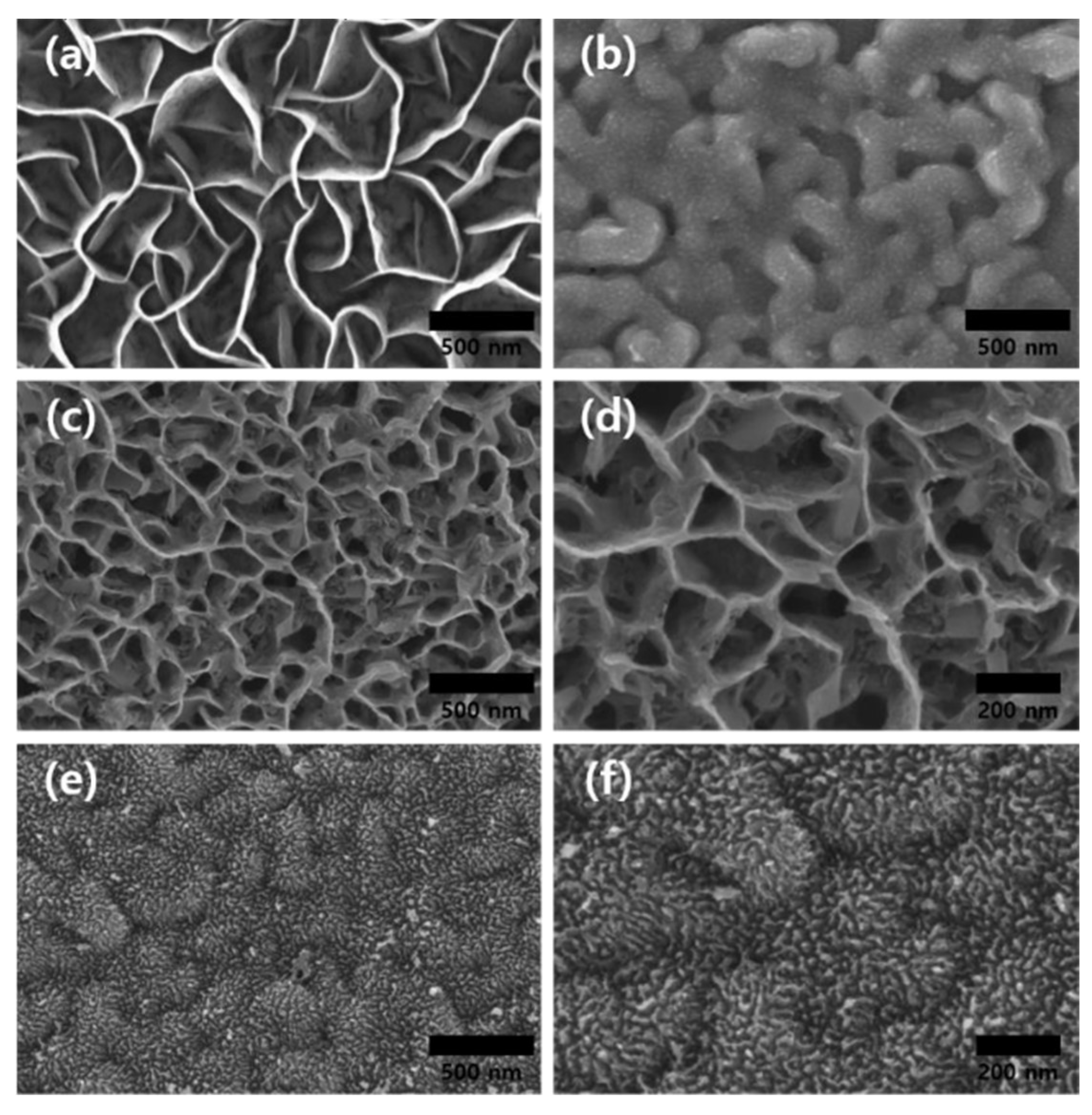 Nanomaterials 12 01338 g001