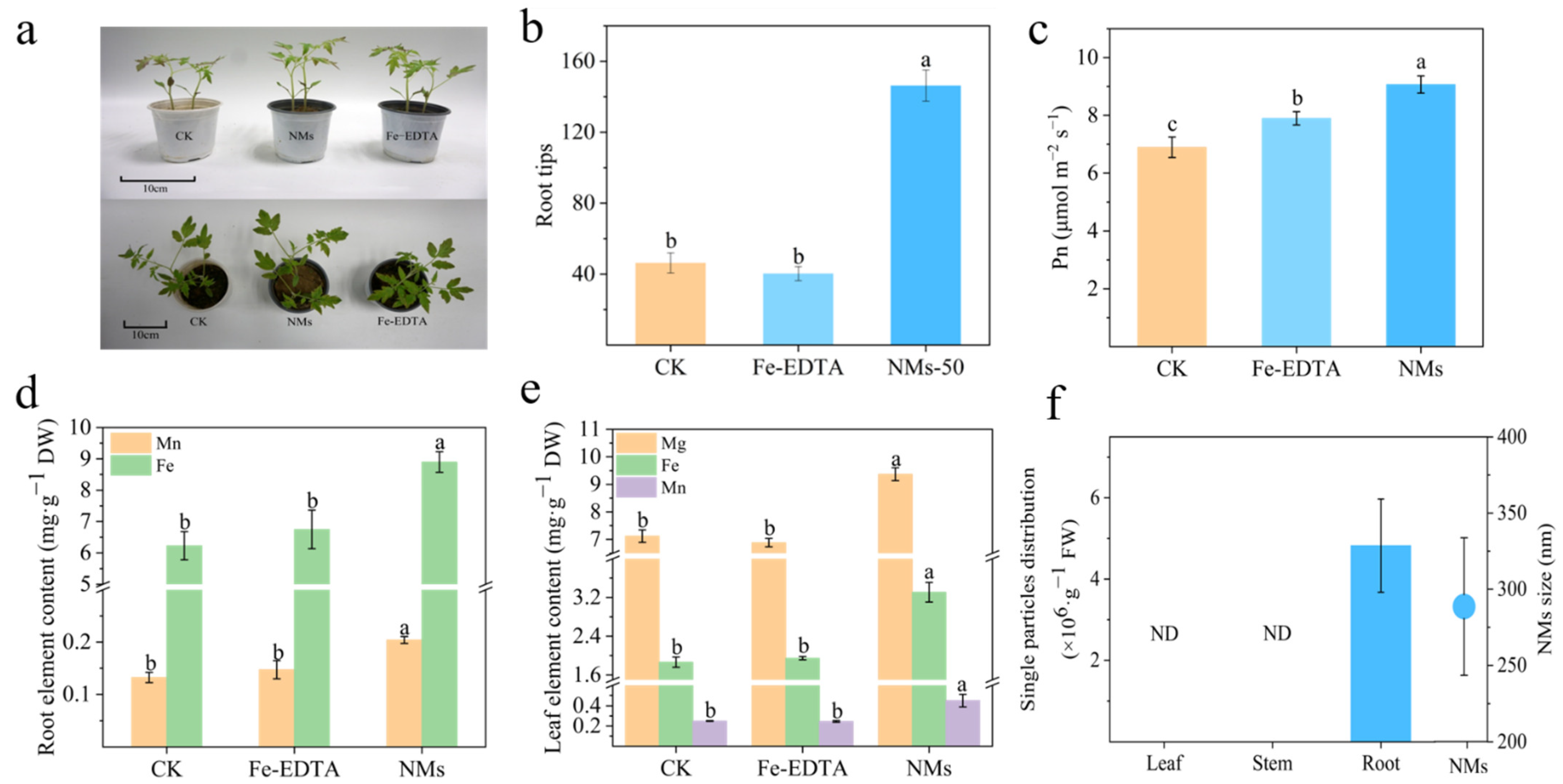 Nanomaterials 12 01341 g003