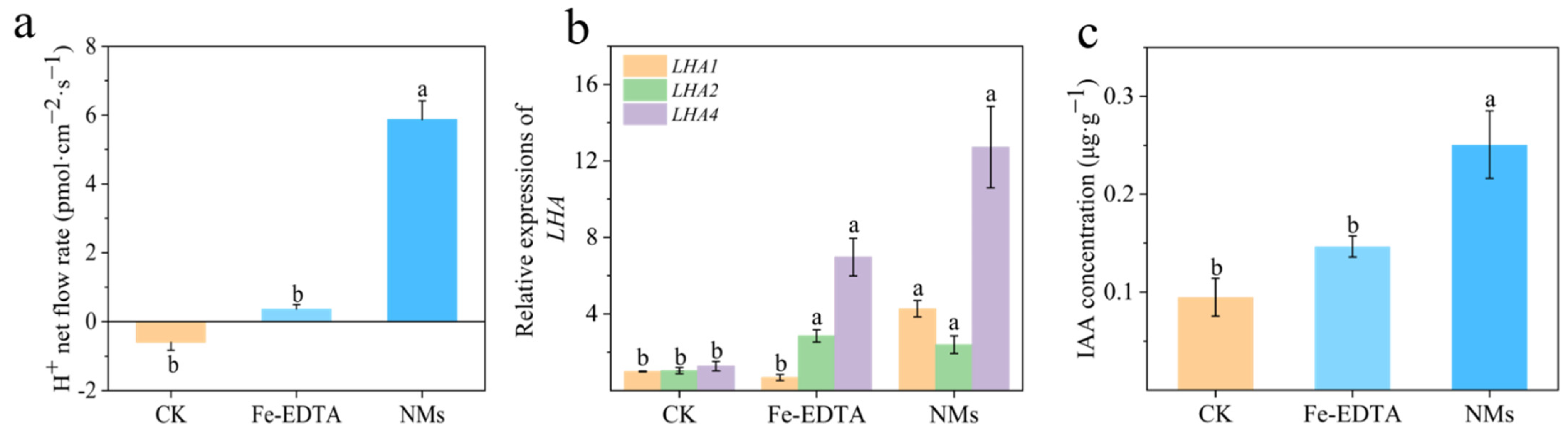 Nanomaterials 12 01341 g004
