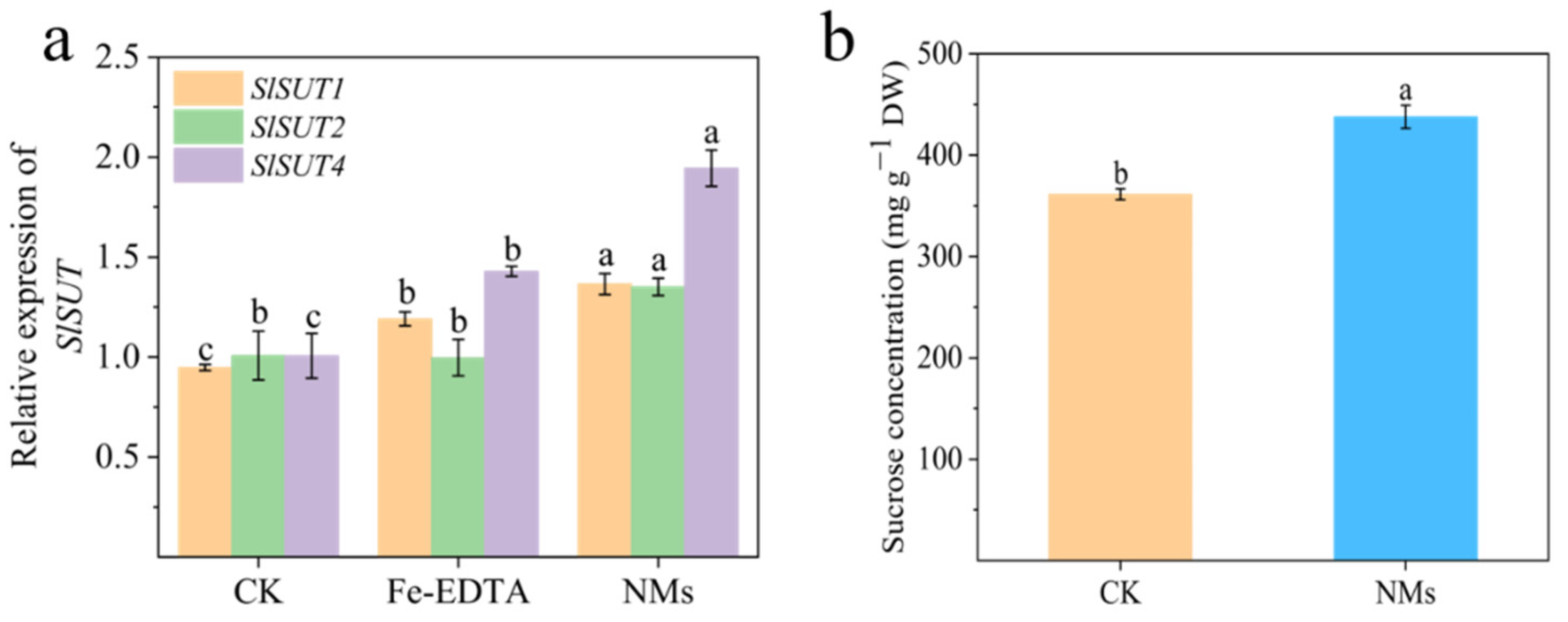 Nanomaterials 12 01341 g005