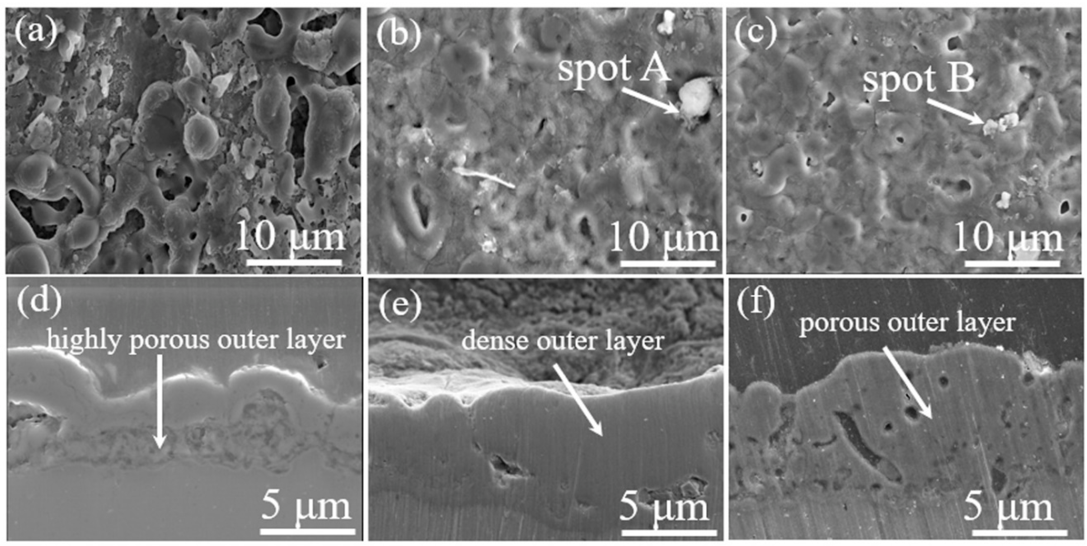 Nanomaterials 12 01354 g001