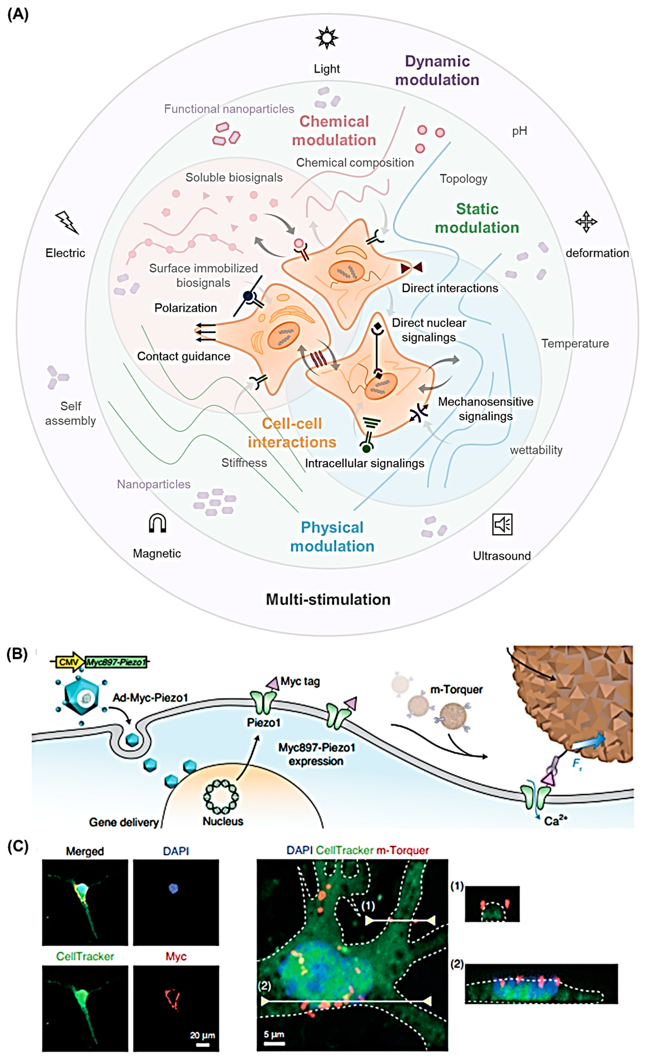 Nanomaterials 12 01377 g003 Nanomaterials 12 01377 g003