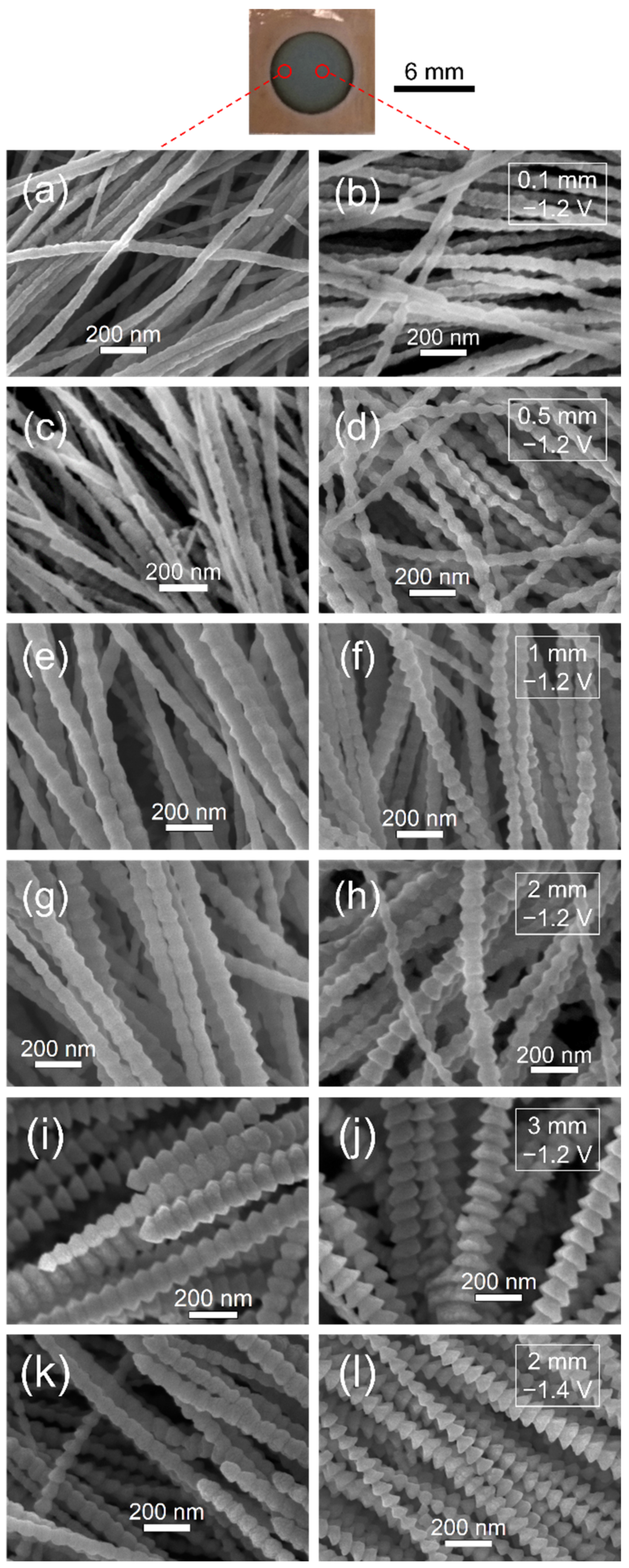 Nanomaterials 12 01390 g005