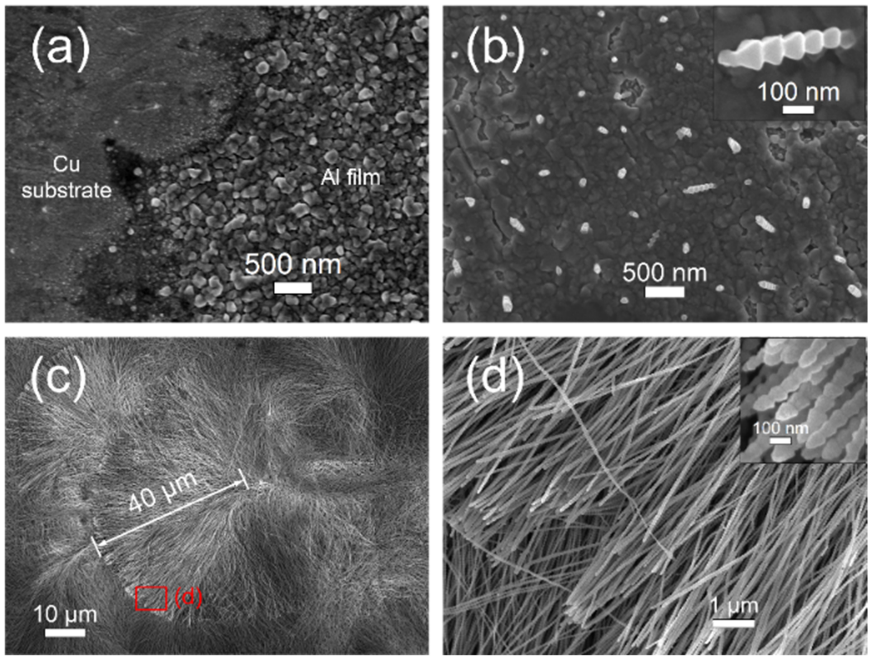 Nanomaterials 12 01390 g010