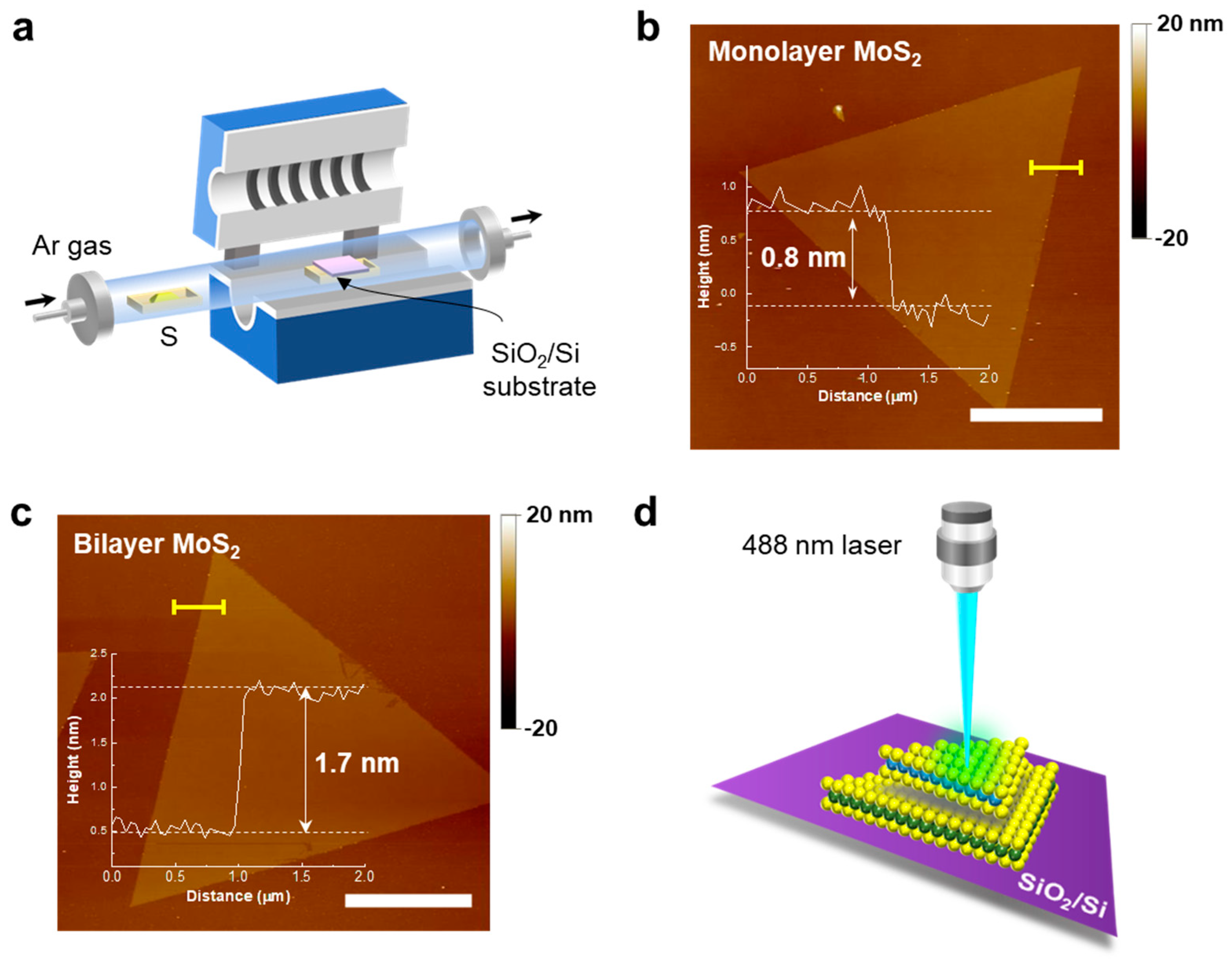 Nanomaterials 12 01393 g001