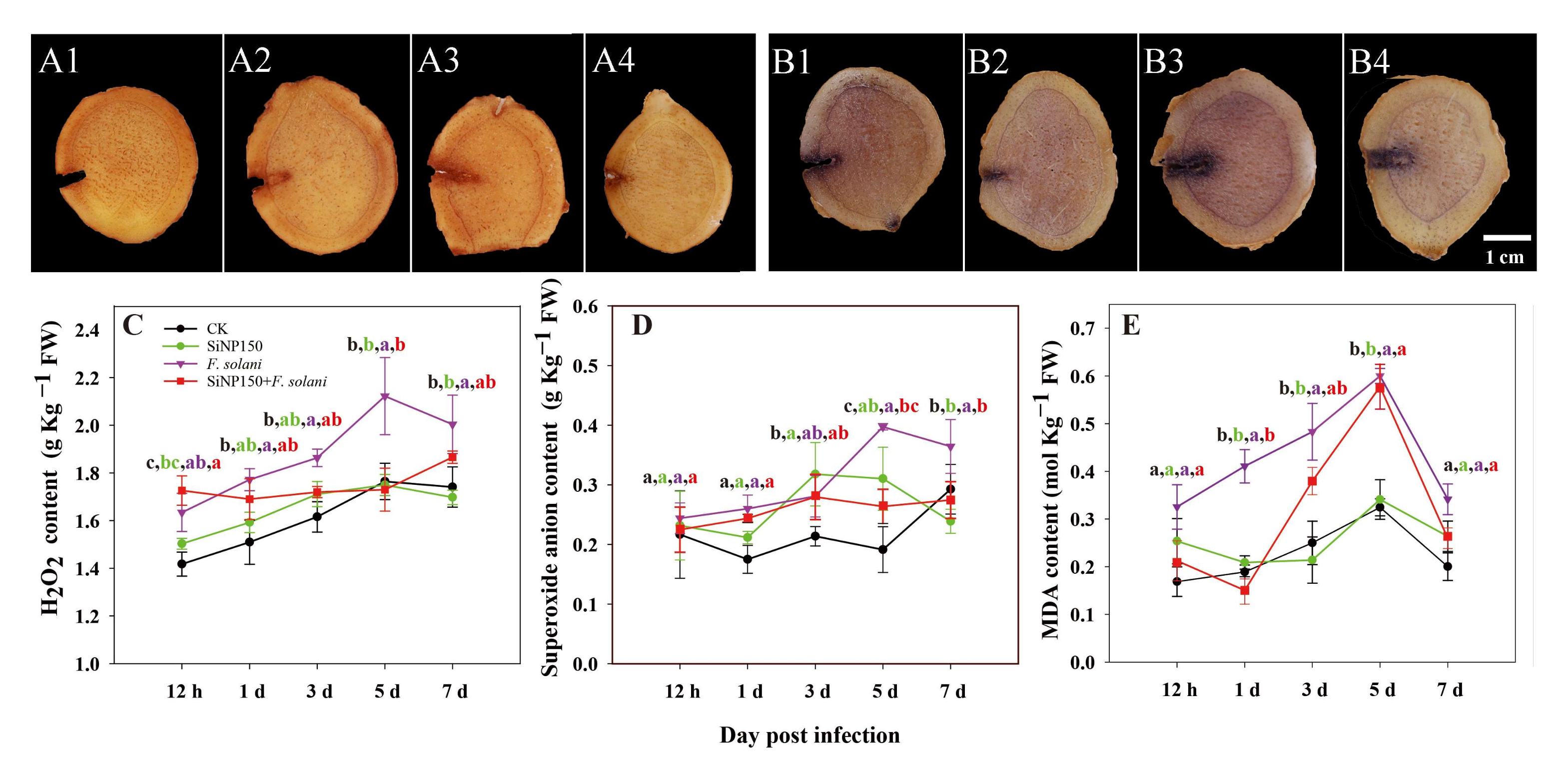 Nanomaterials 12 01418 g003