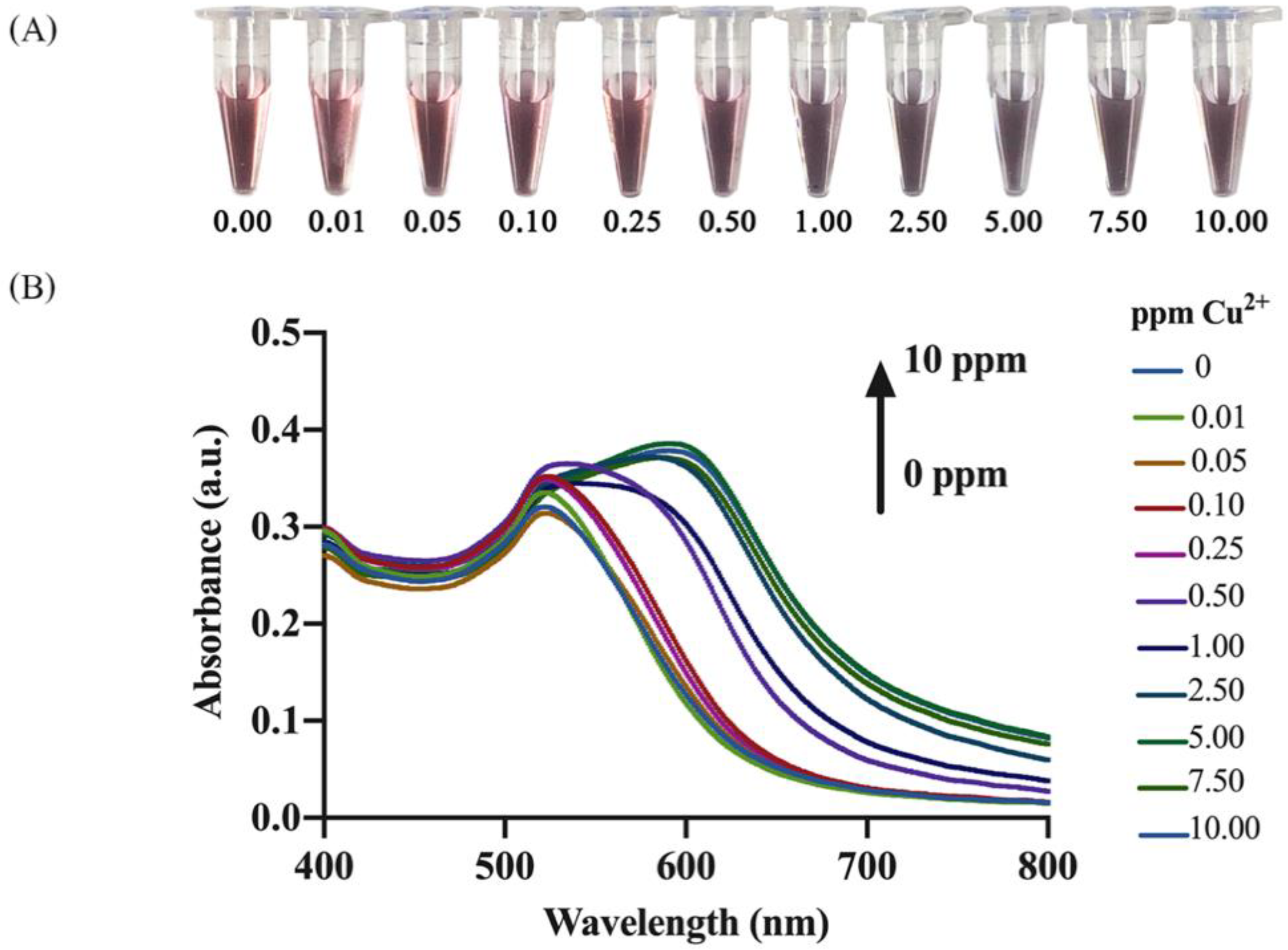 Nanomaterials 12 01449 g004