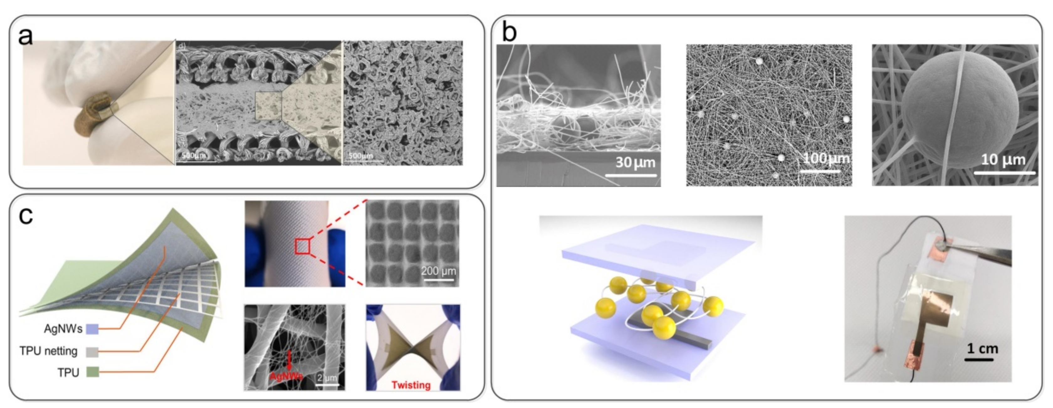 Nanomaterials 12 01495 g007