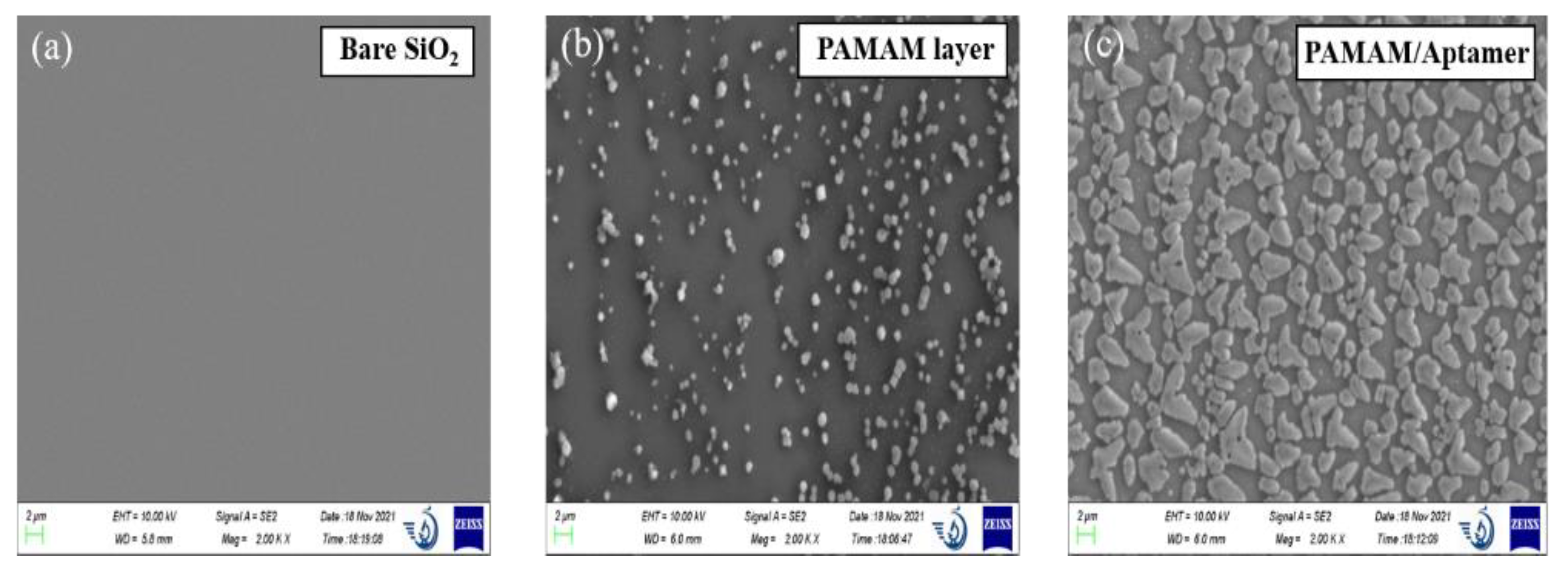 Nanomaterials 12 01505 g001