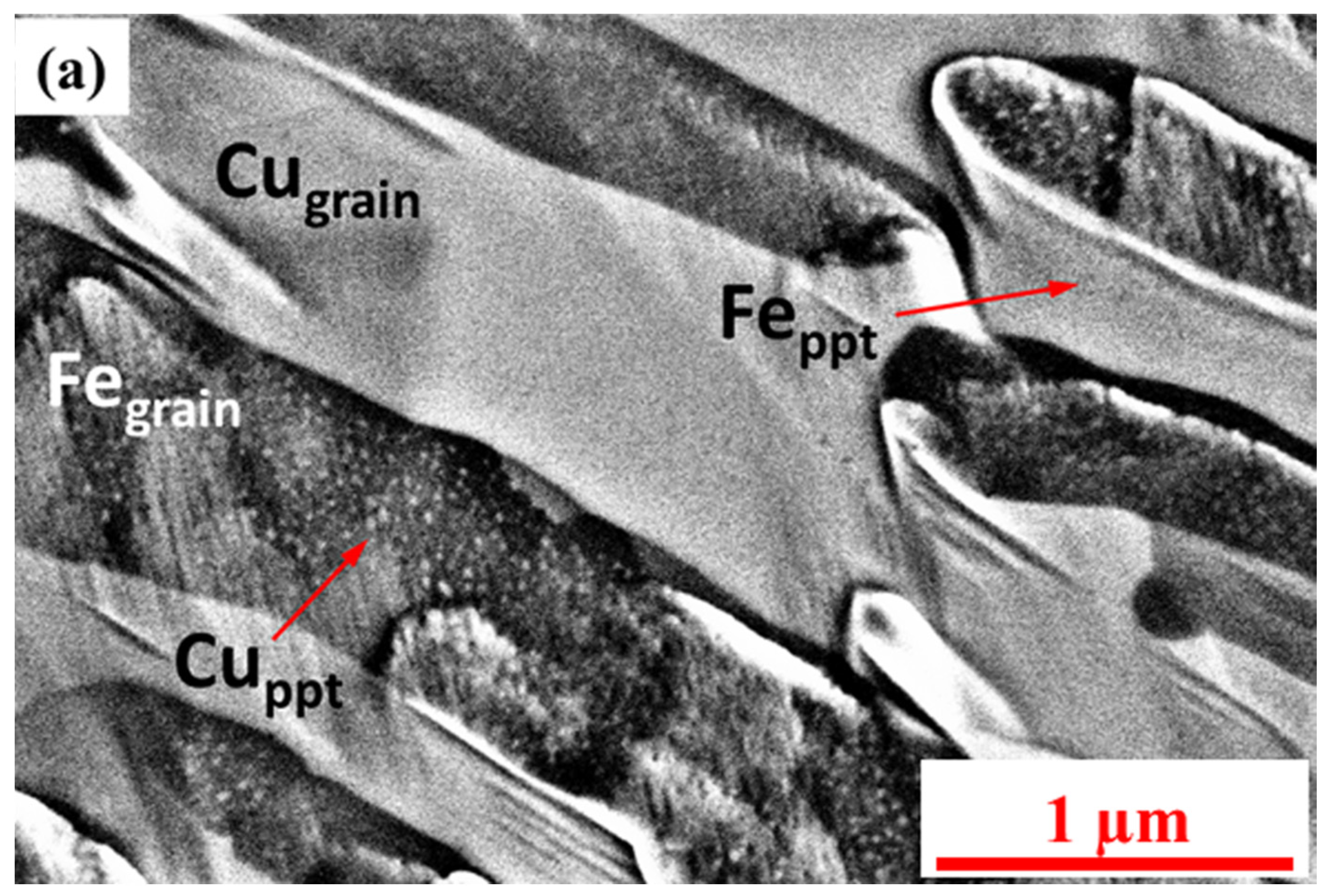 Nanomaterials 12 01514 g003a Nanomaterials 12 01514 g003a